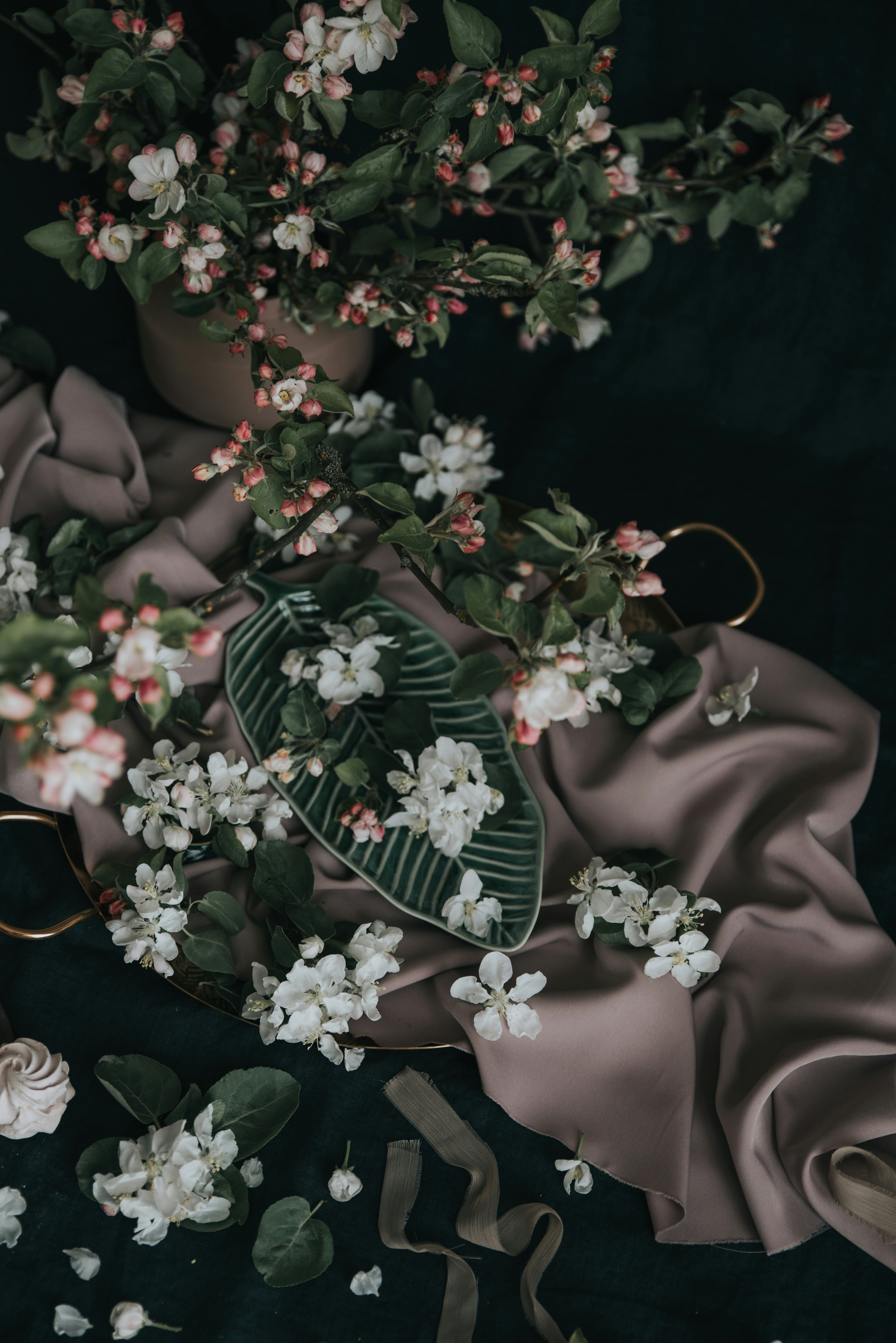 Photo by anitaaustvika