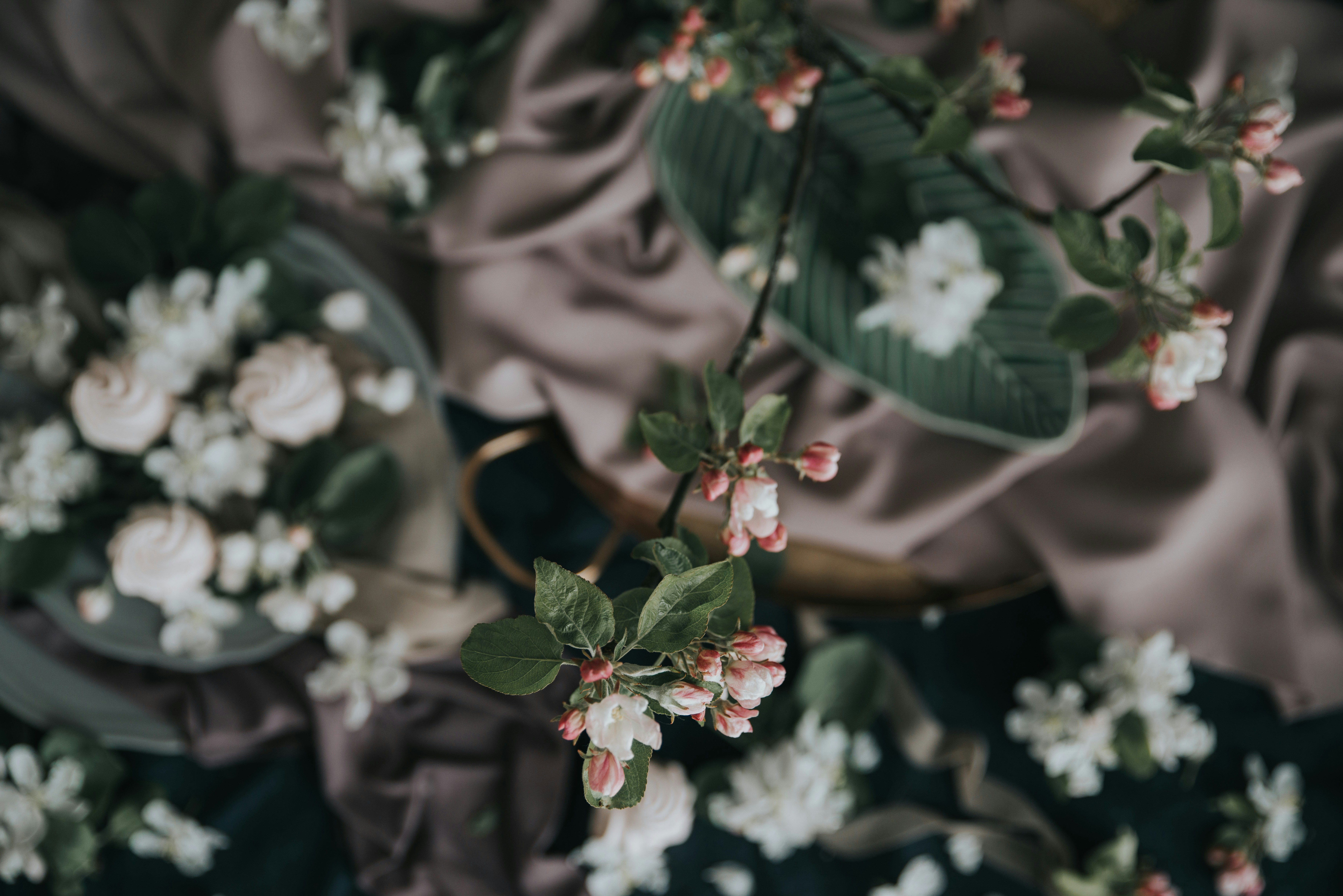 Photo by anitaaustvika