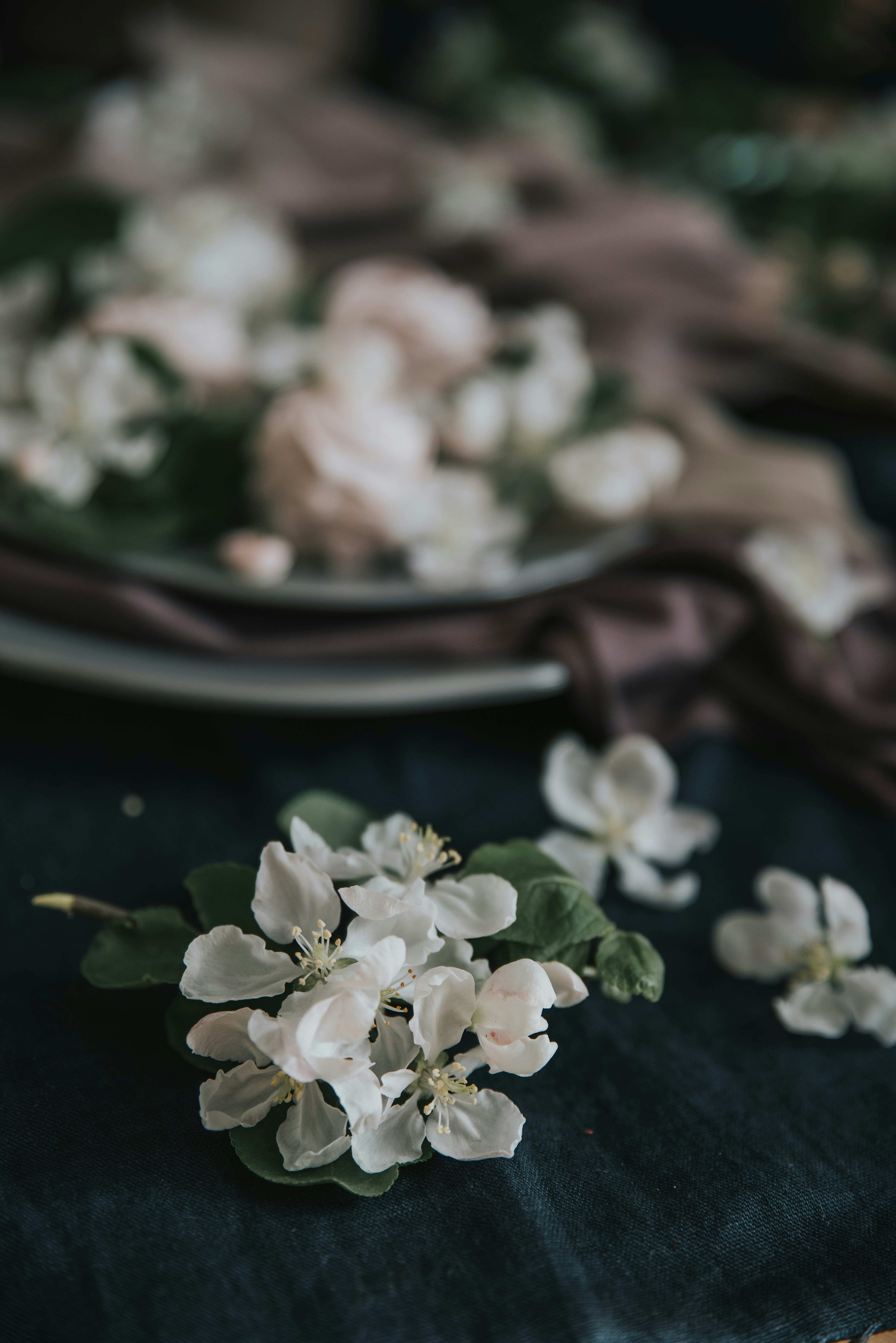 Photo by anitaaustvika