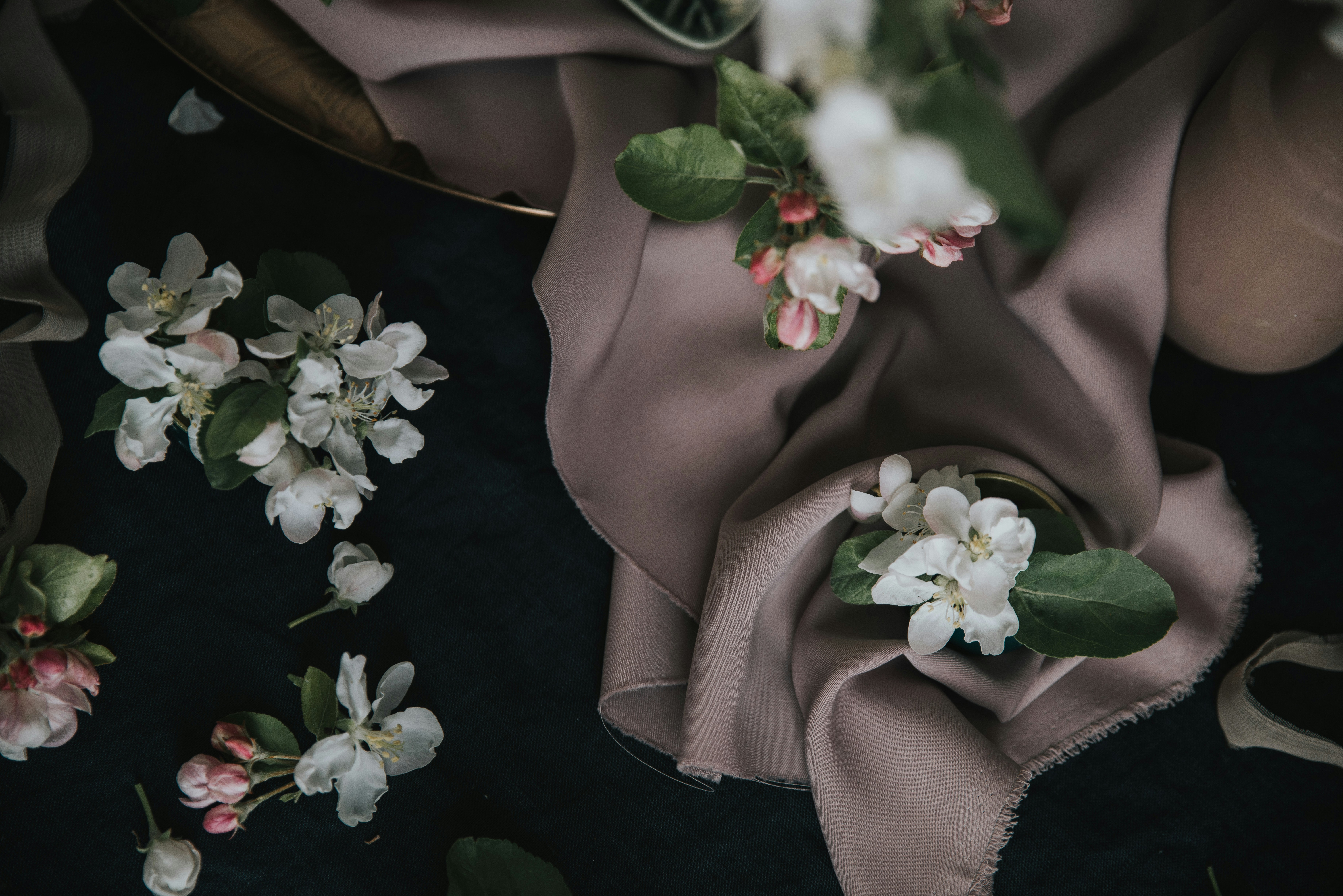 Photo by anitaaustvika