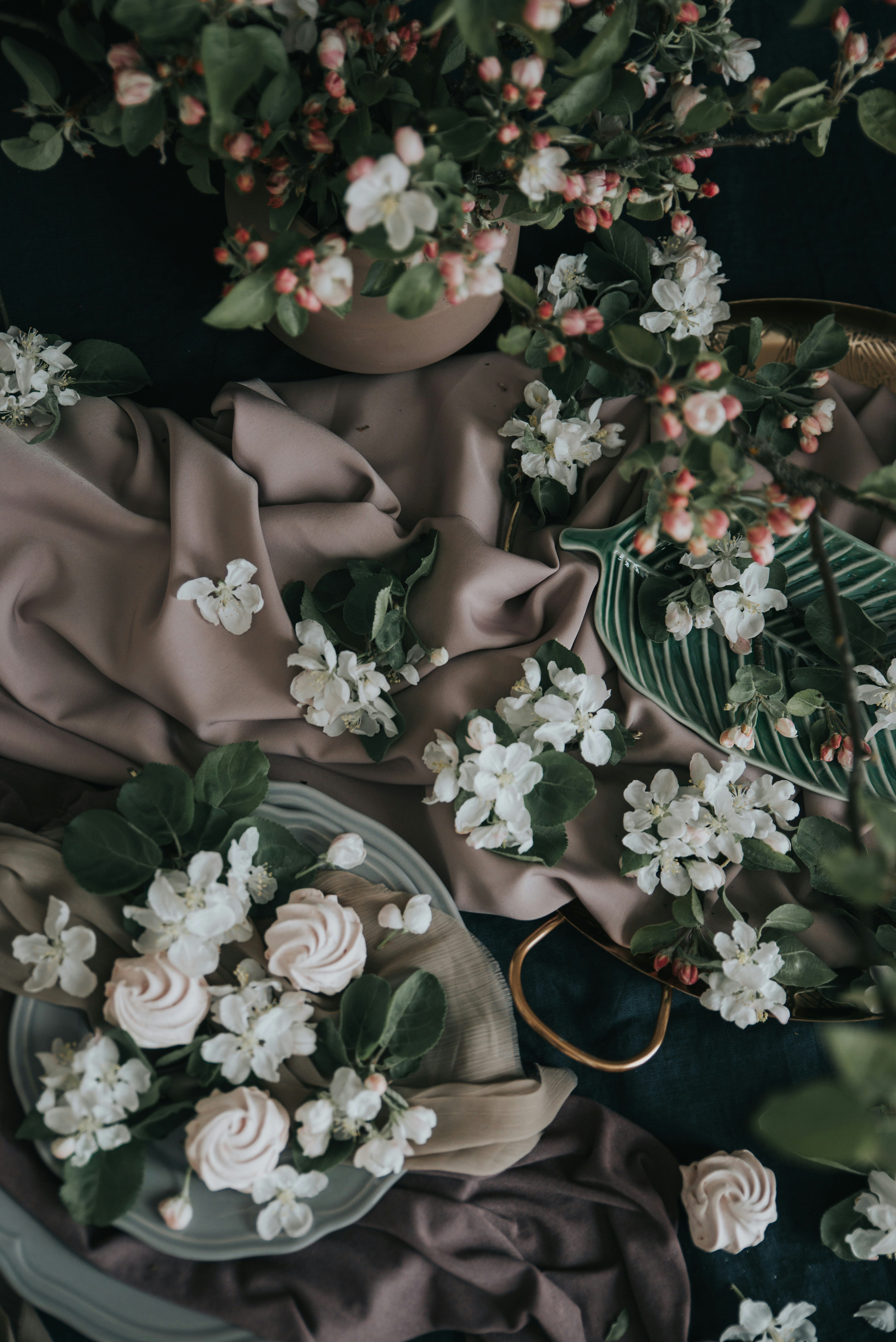 Photo by anitaaustvika