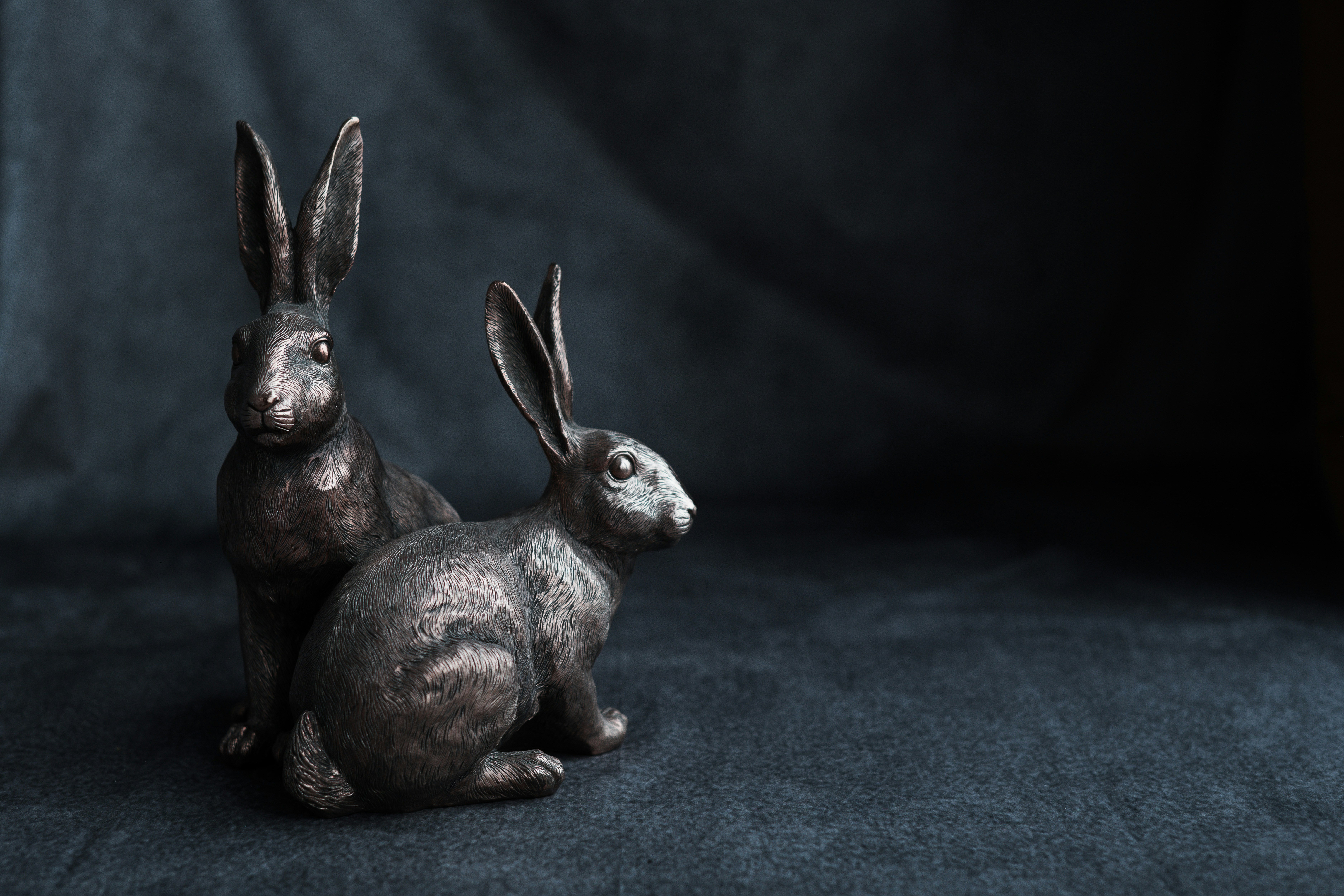 Unique Breeding History (image credits: unsplash)