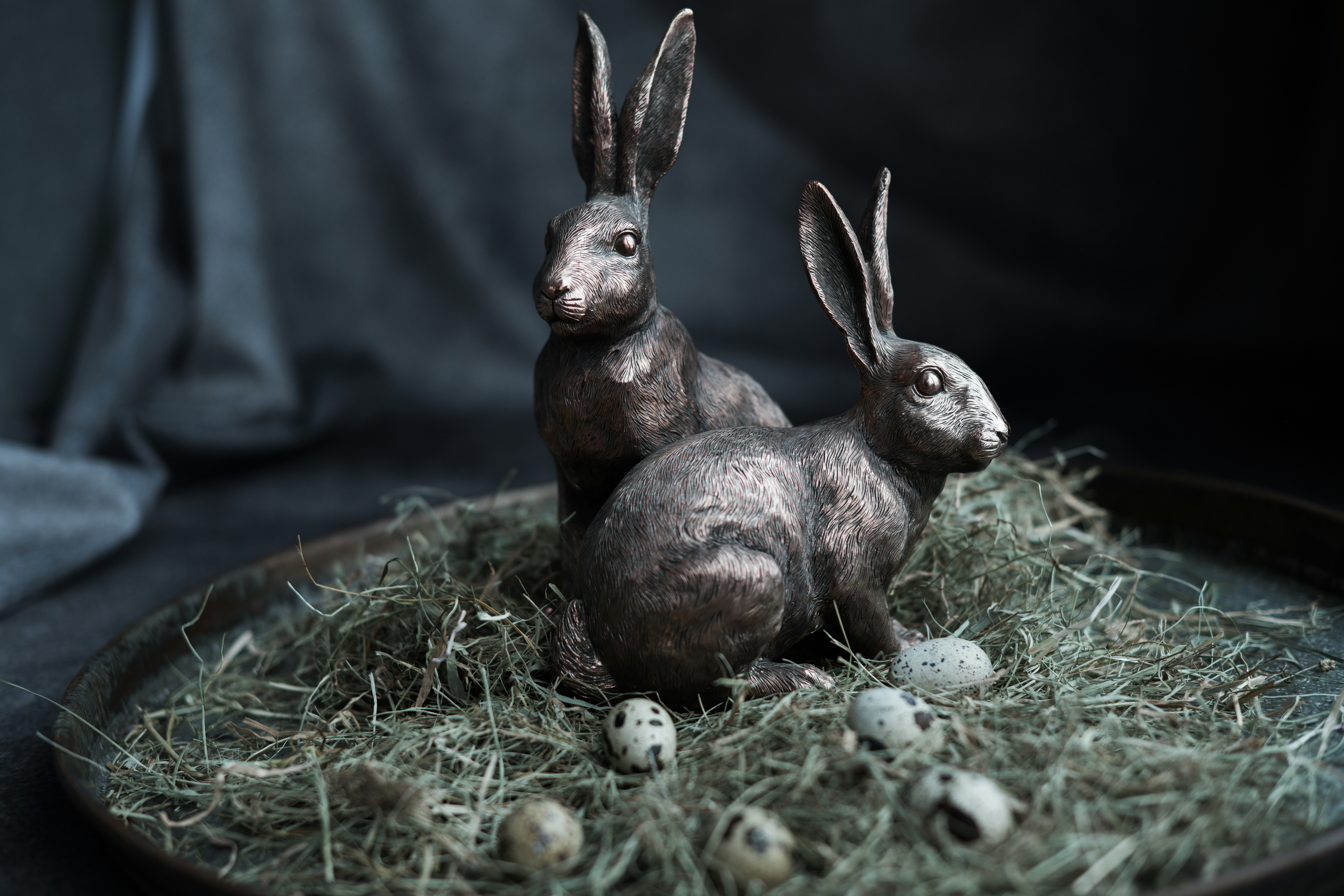 Photo by anitaaustvika