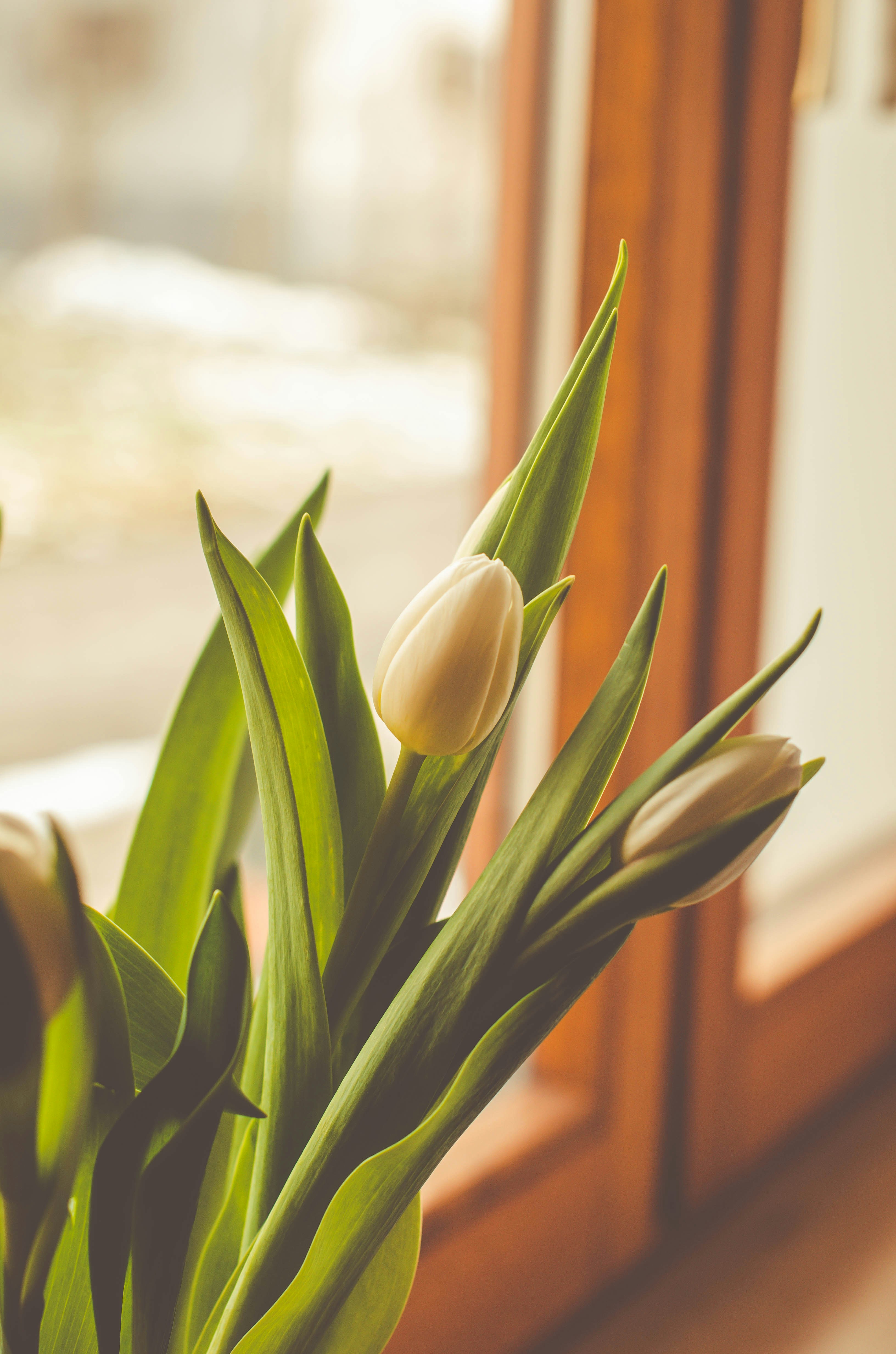 Photo by nika_benedictova