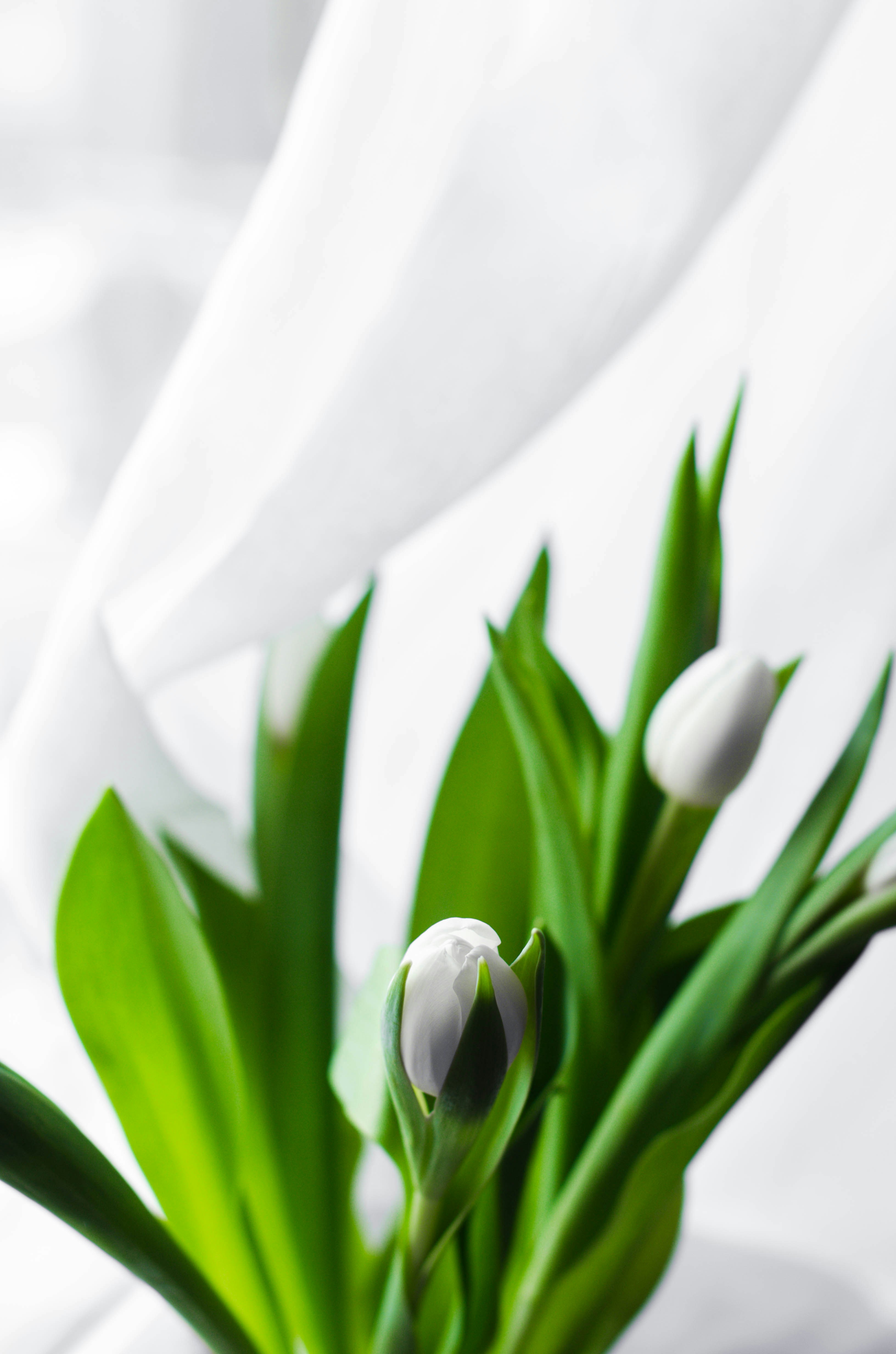 Photo by nika_benedictova