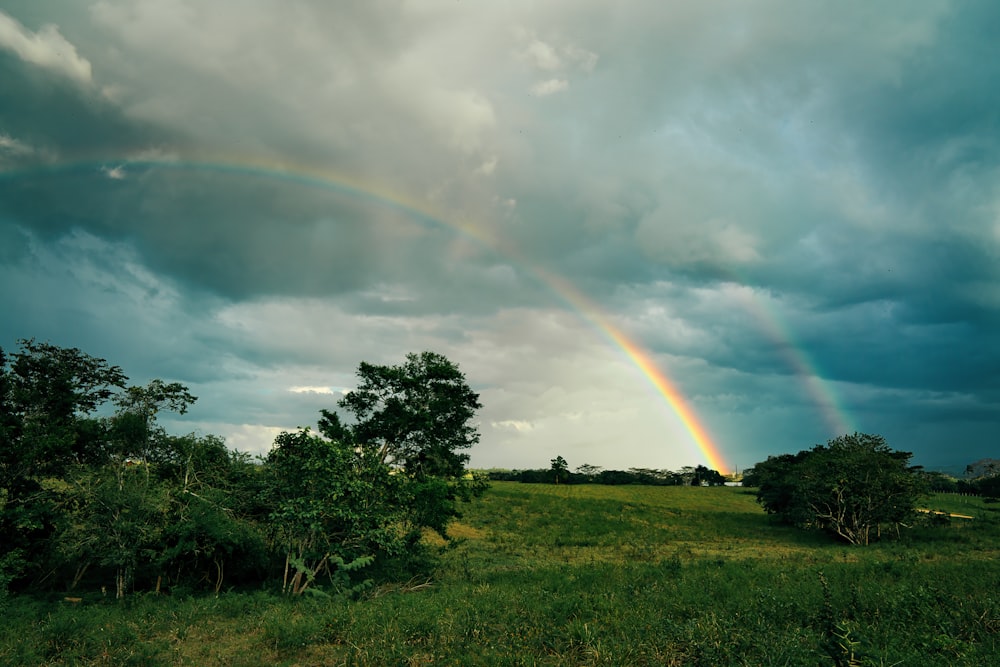 a rainbow in the sky over a lush green field