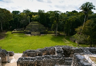 an aerial view of the ruins of an ancient city