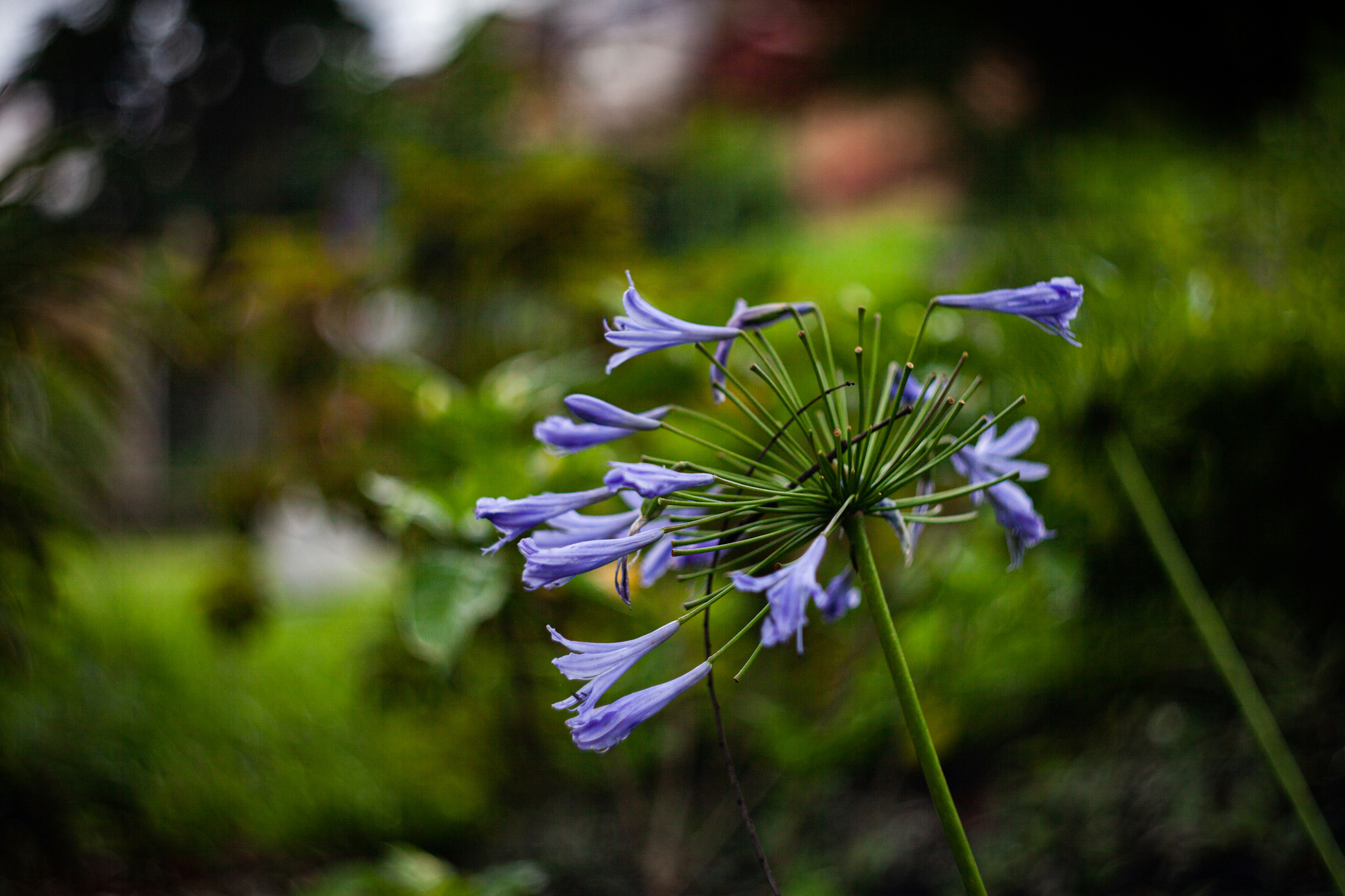 Photo by alekseyryan