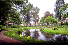 a small pond in a park surrounded by trees
