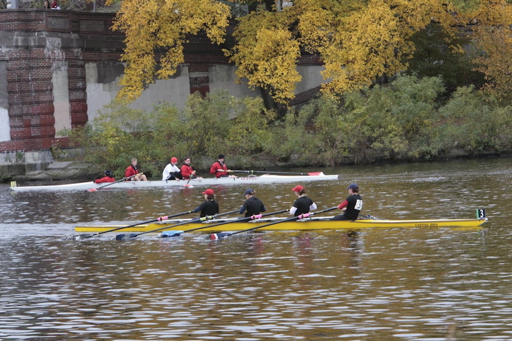 a group of rowers on a body of water