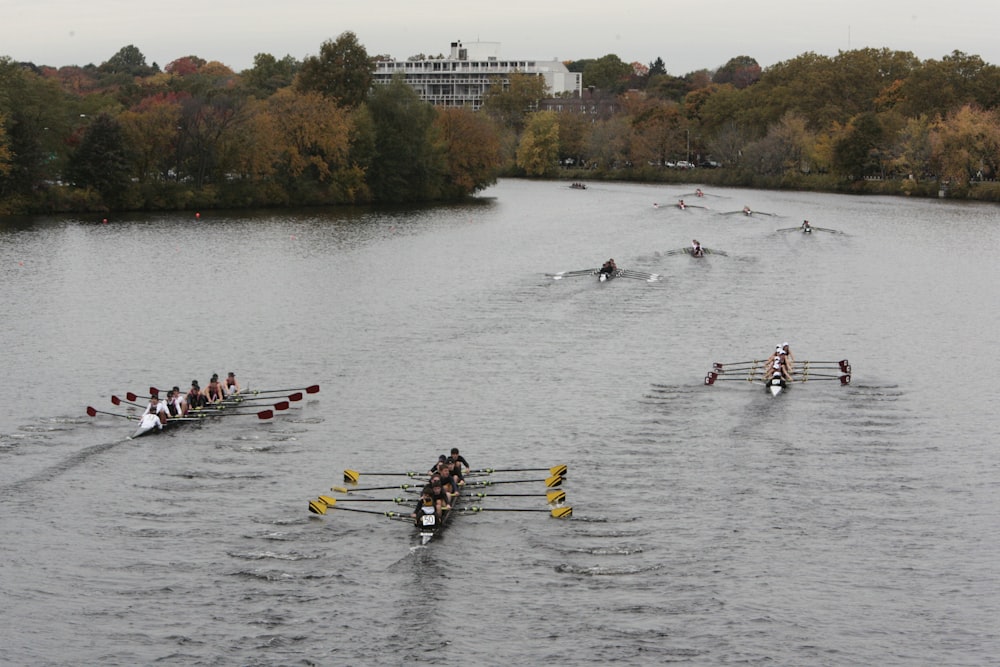 a group of people rowing on a body of water