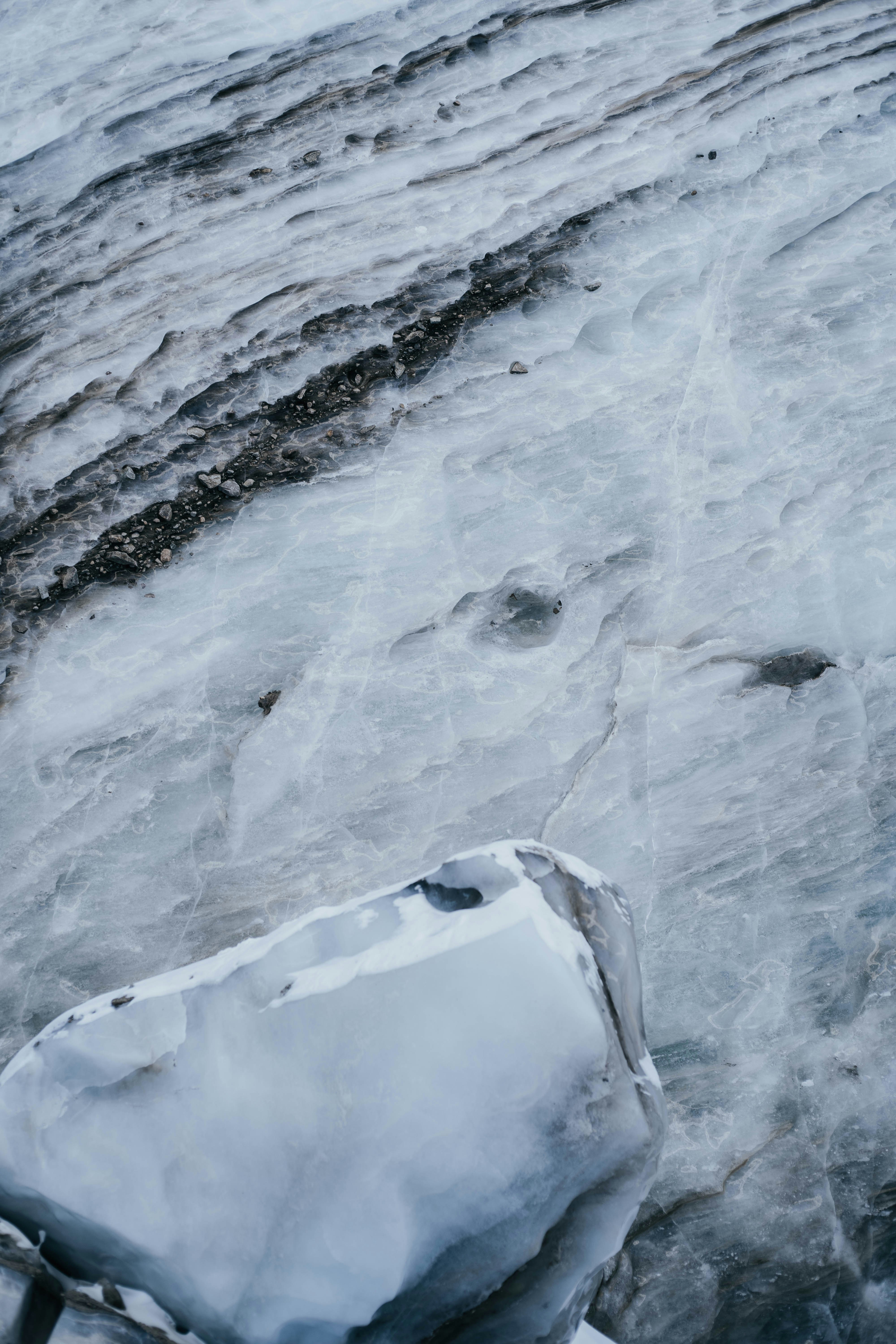 Photo by carpediem_ann