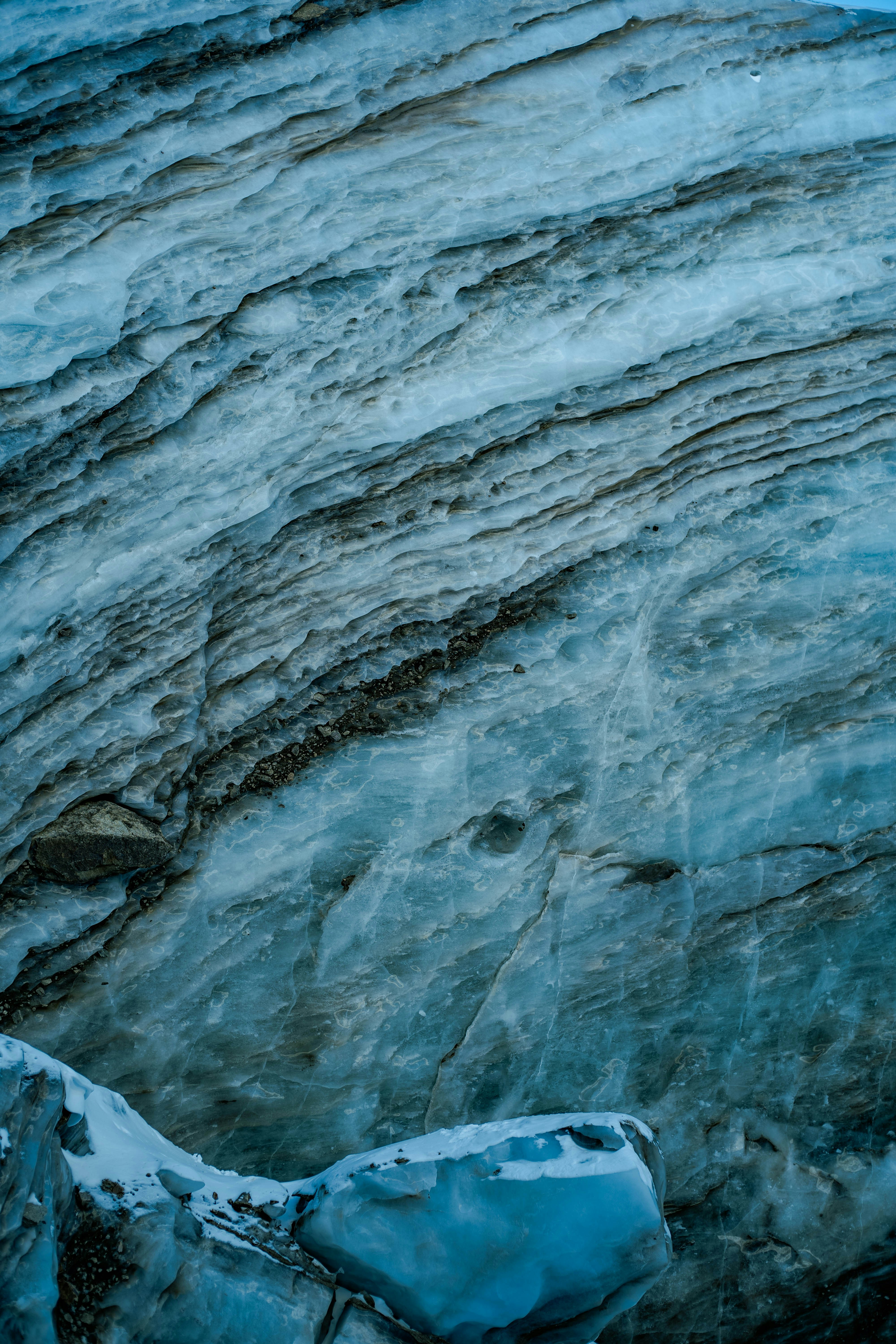 Photo by carpediem_ann