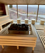 Luxurious sauna cabin with large glass windows overlooking a serene garden.