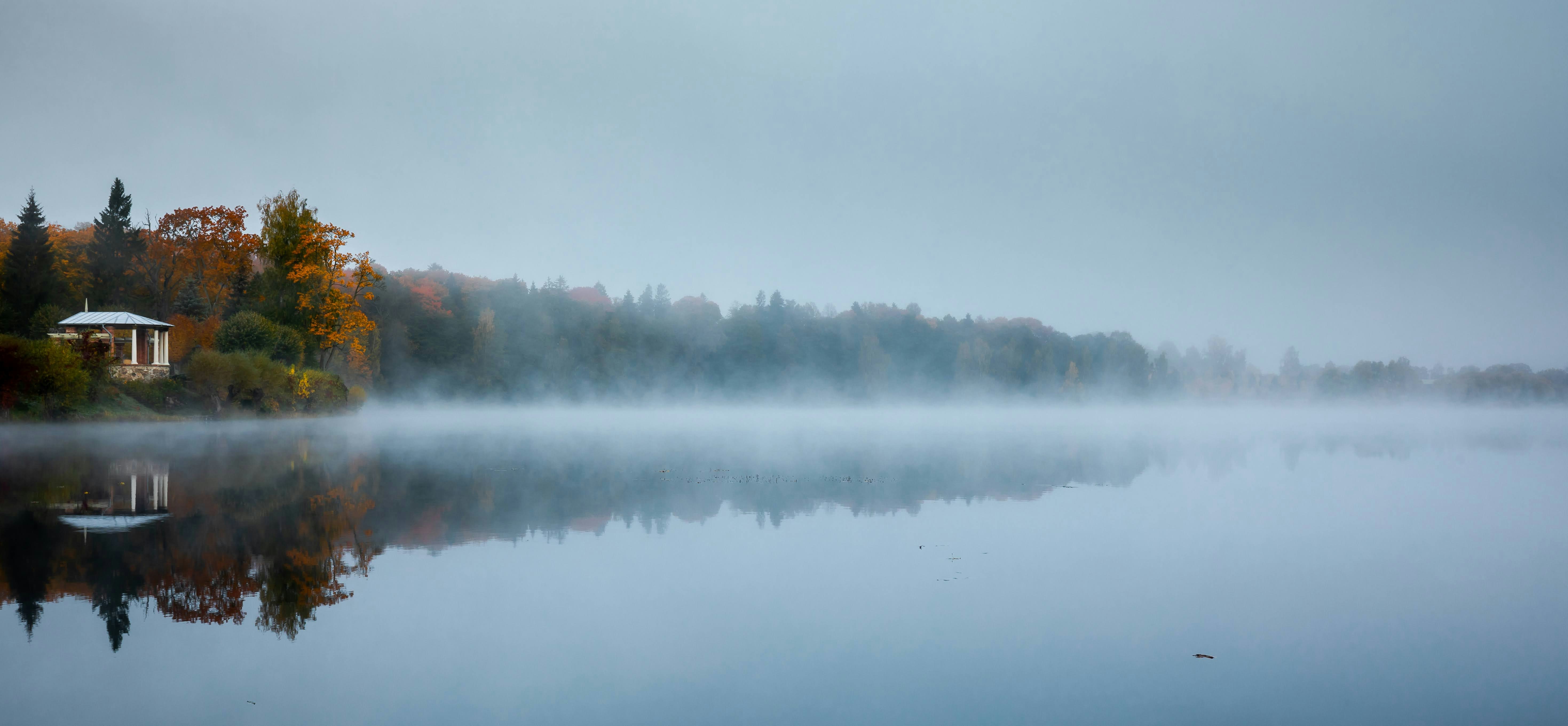 When the Words Find Me