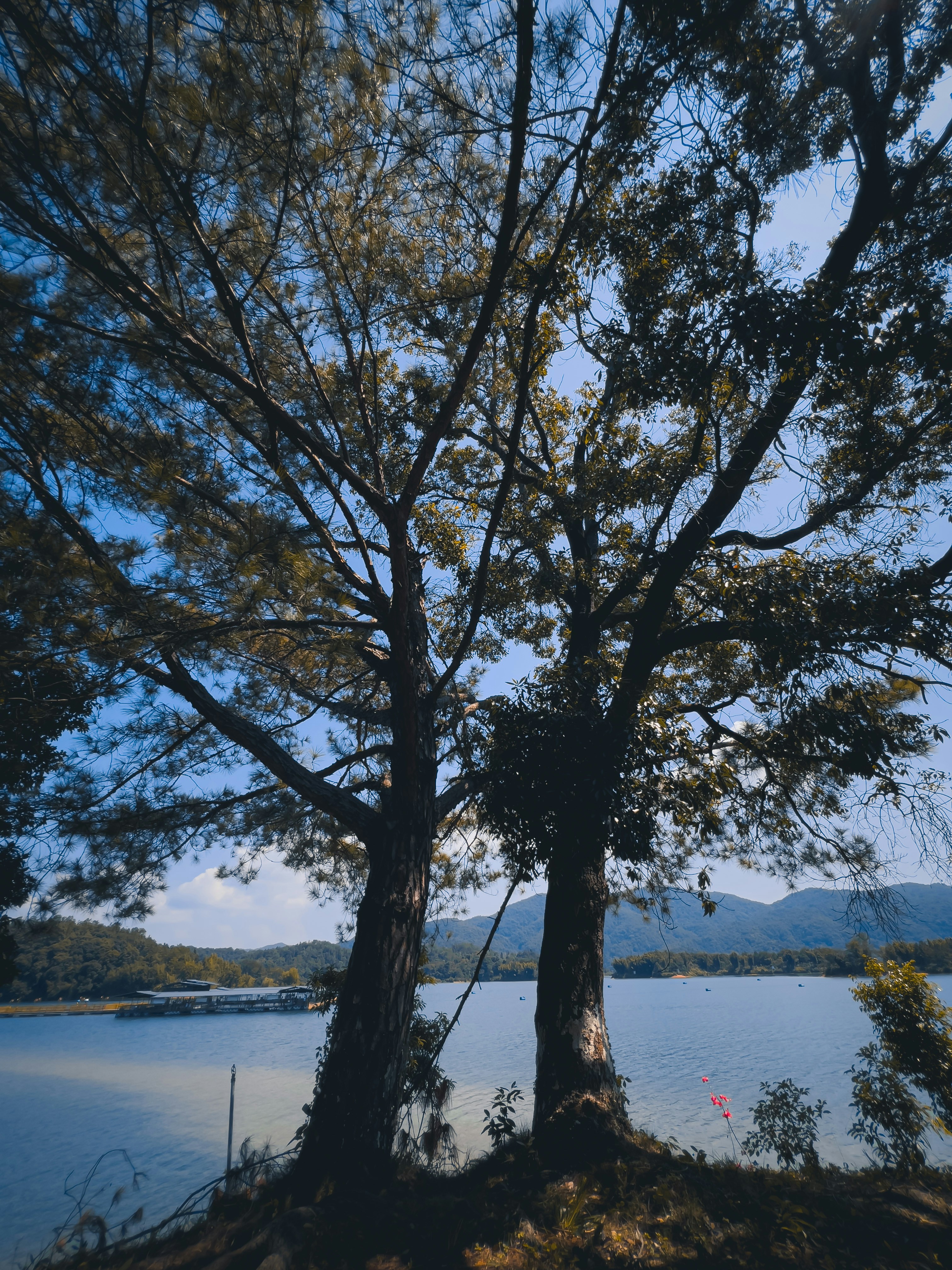 Photo by wangbinghua