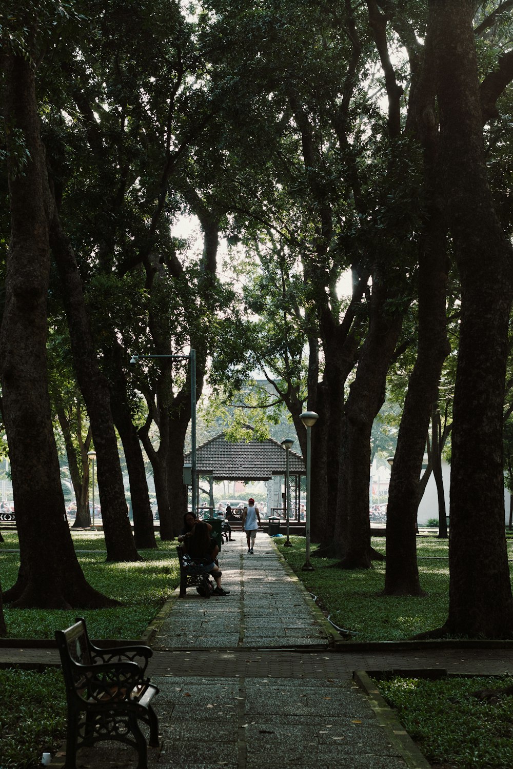 a park with benches, trees, and people walking