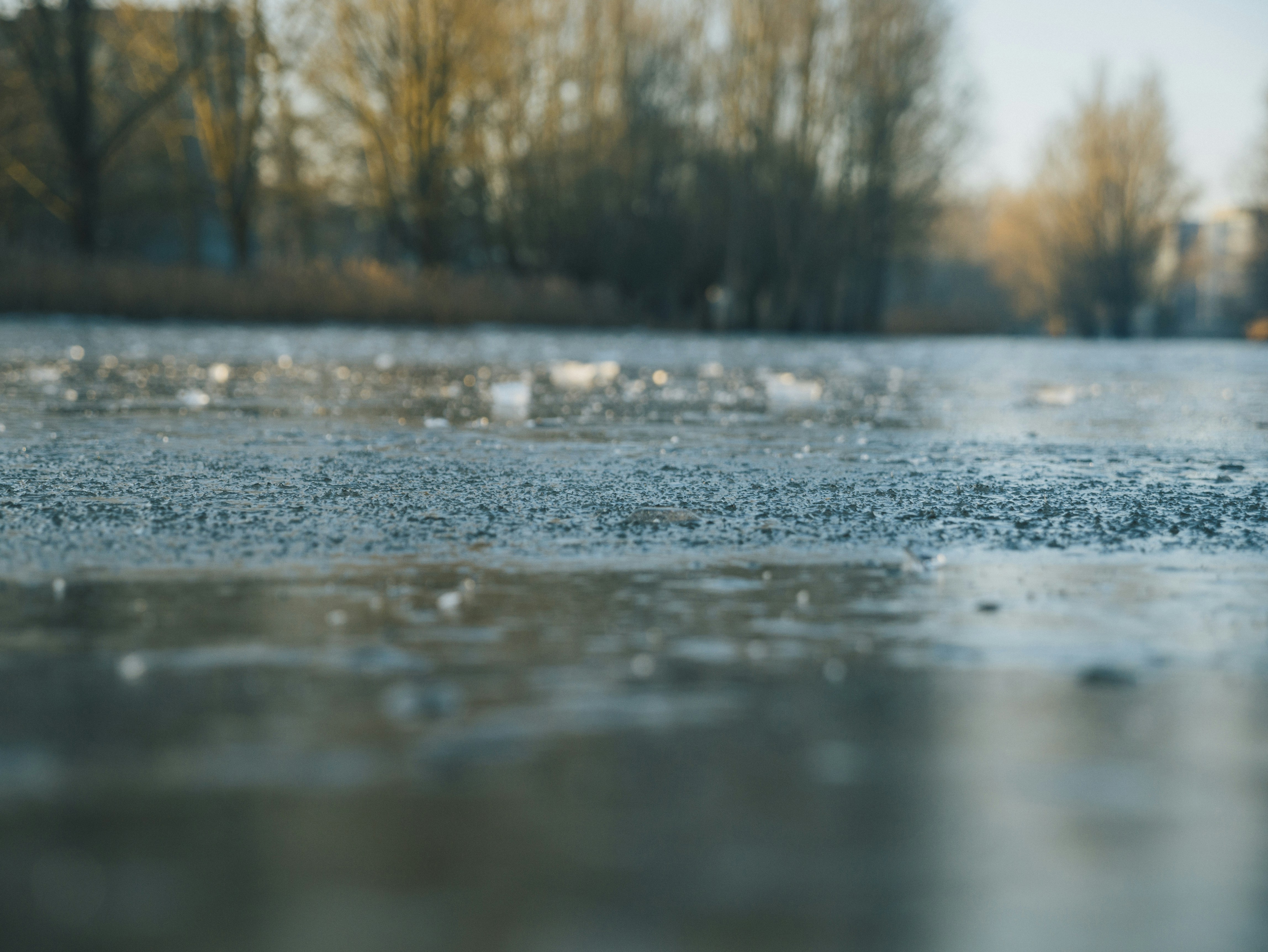 a group of birds standing on top of a frozen lake
