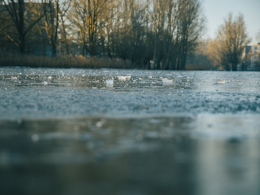 a body of water with trees in the background