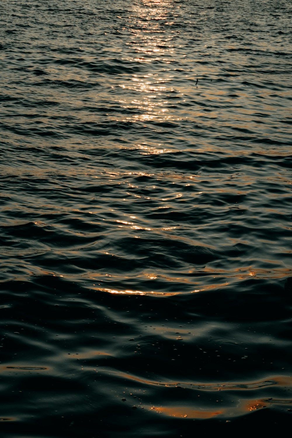 a large body of water with a boat in the distance