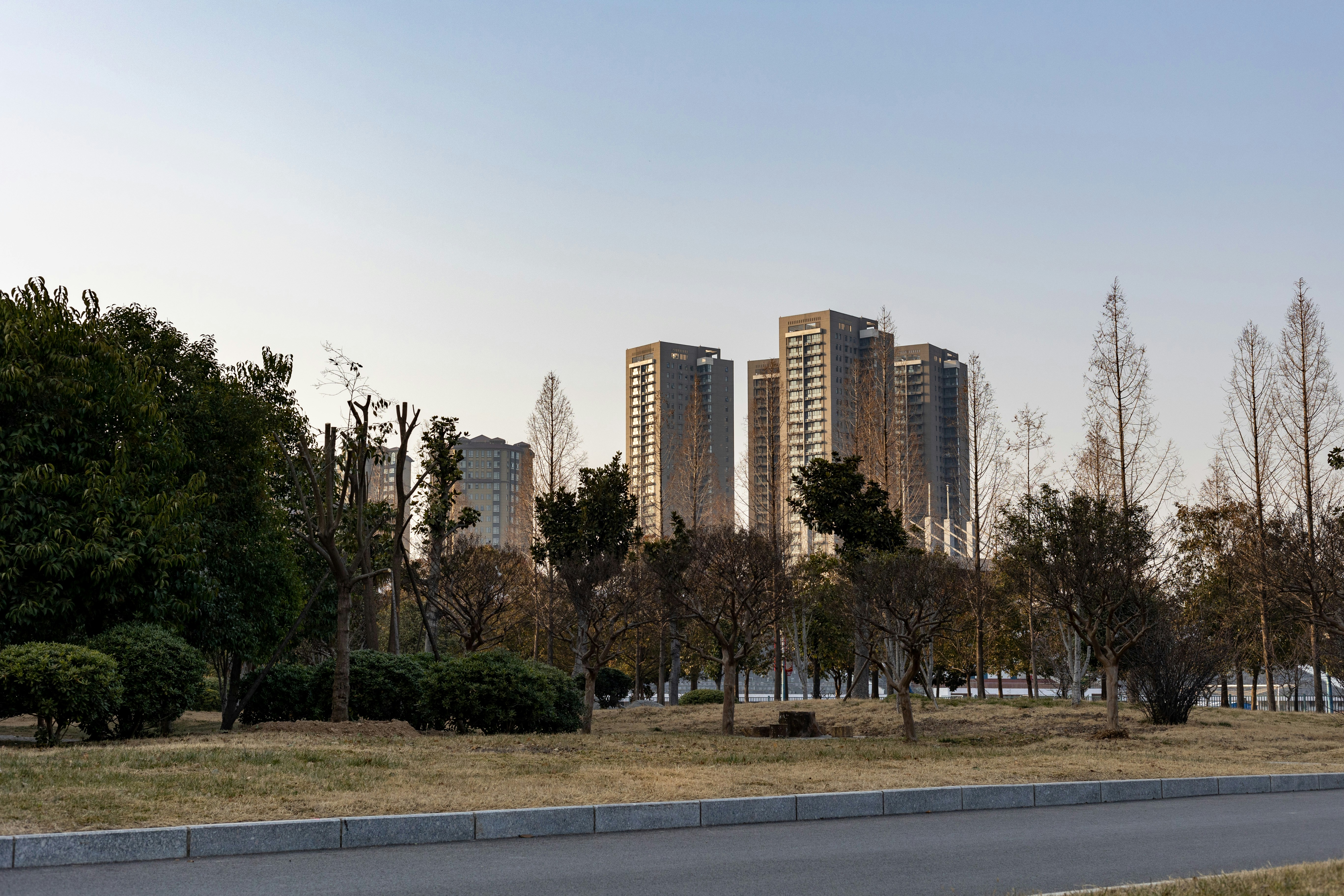 Containers in Oak Park, CA