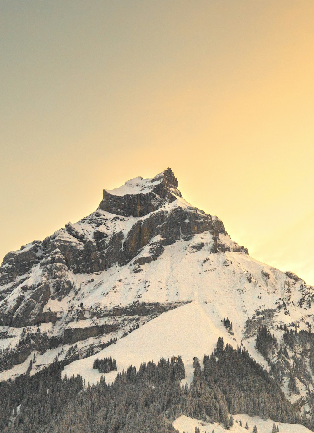 a mountain covered in snow with trees on the side