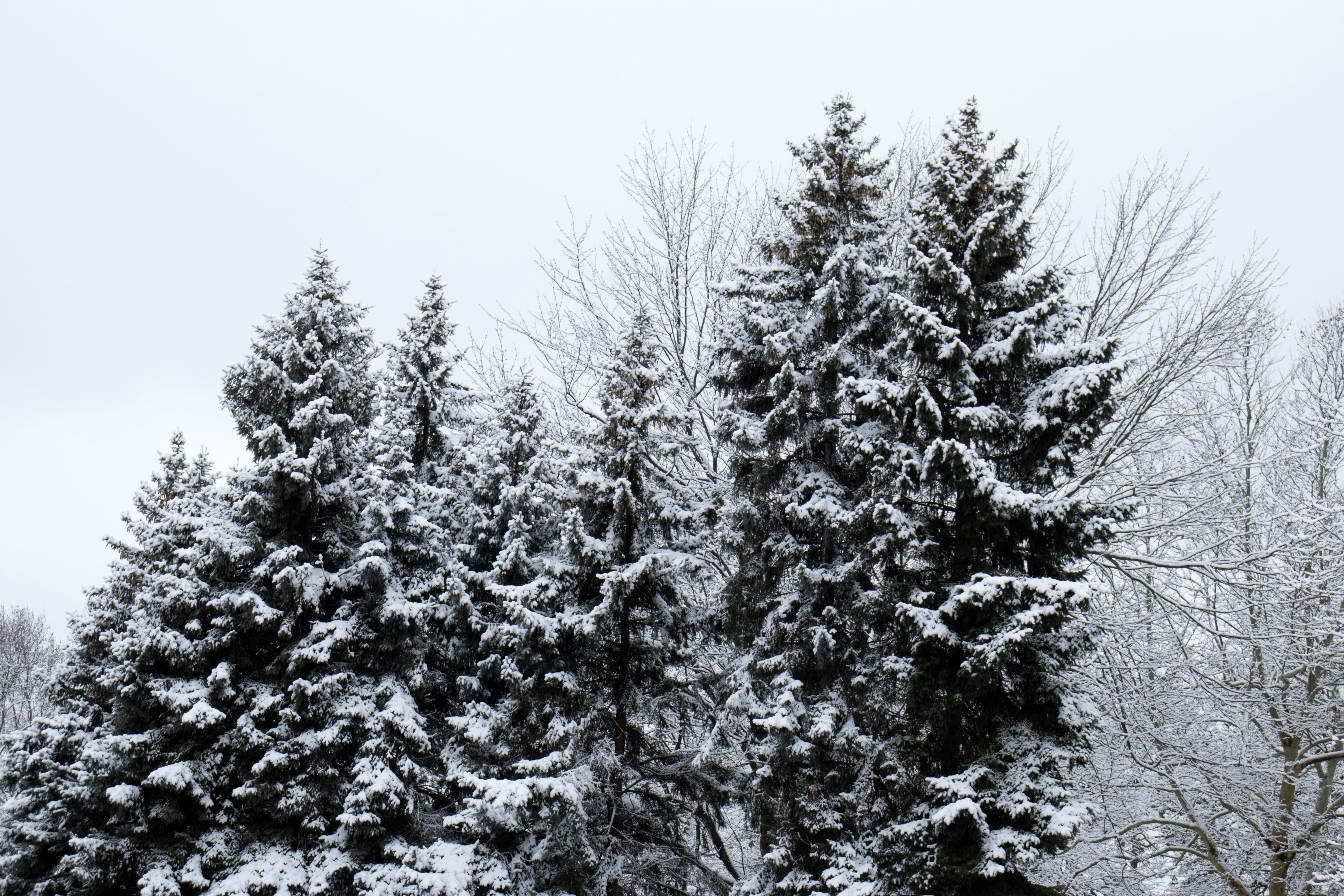 Photo by faithzachary