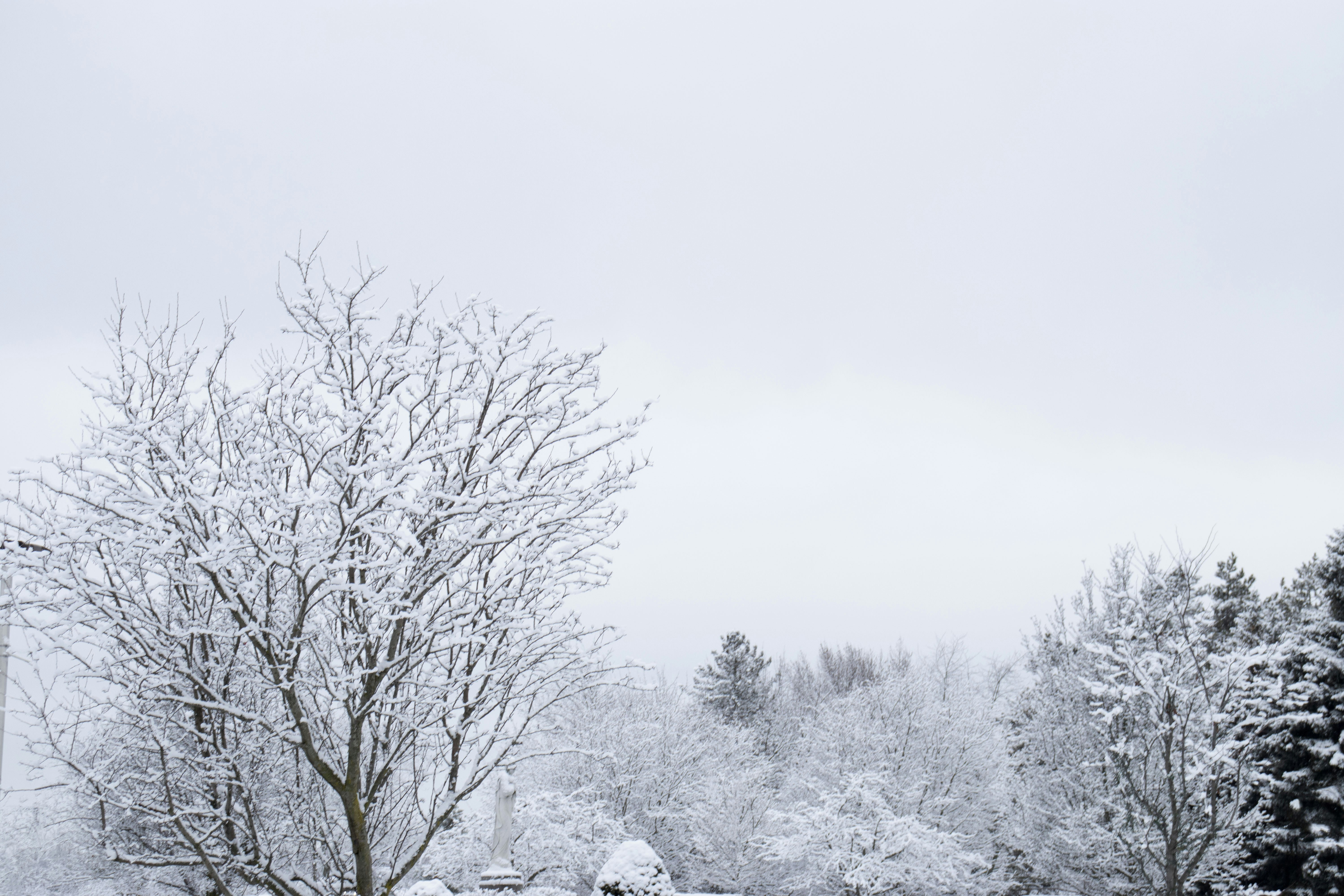 Photo by faithzachary