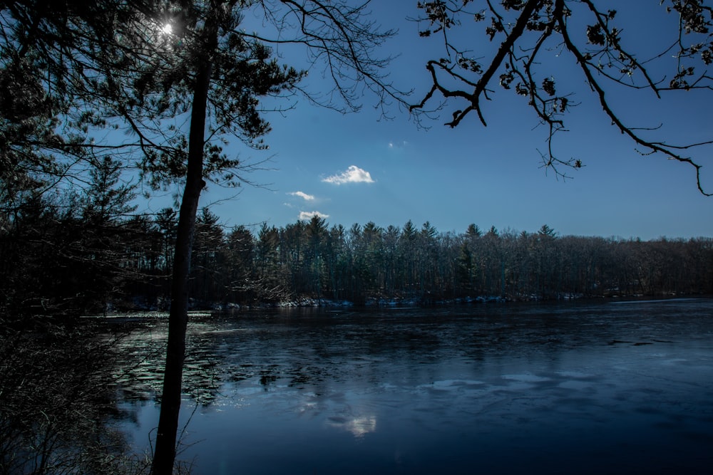 Uno specchio d'acqua circondato da alberi sotto un cielo blu