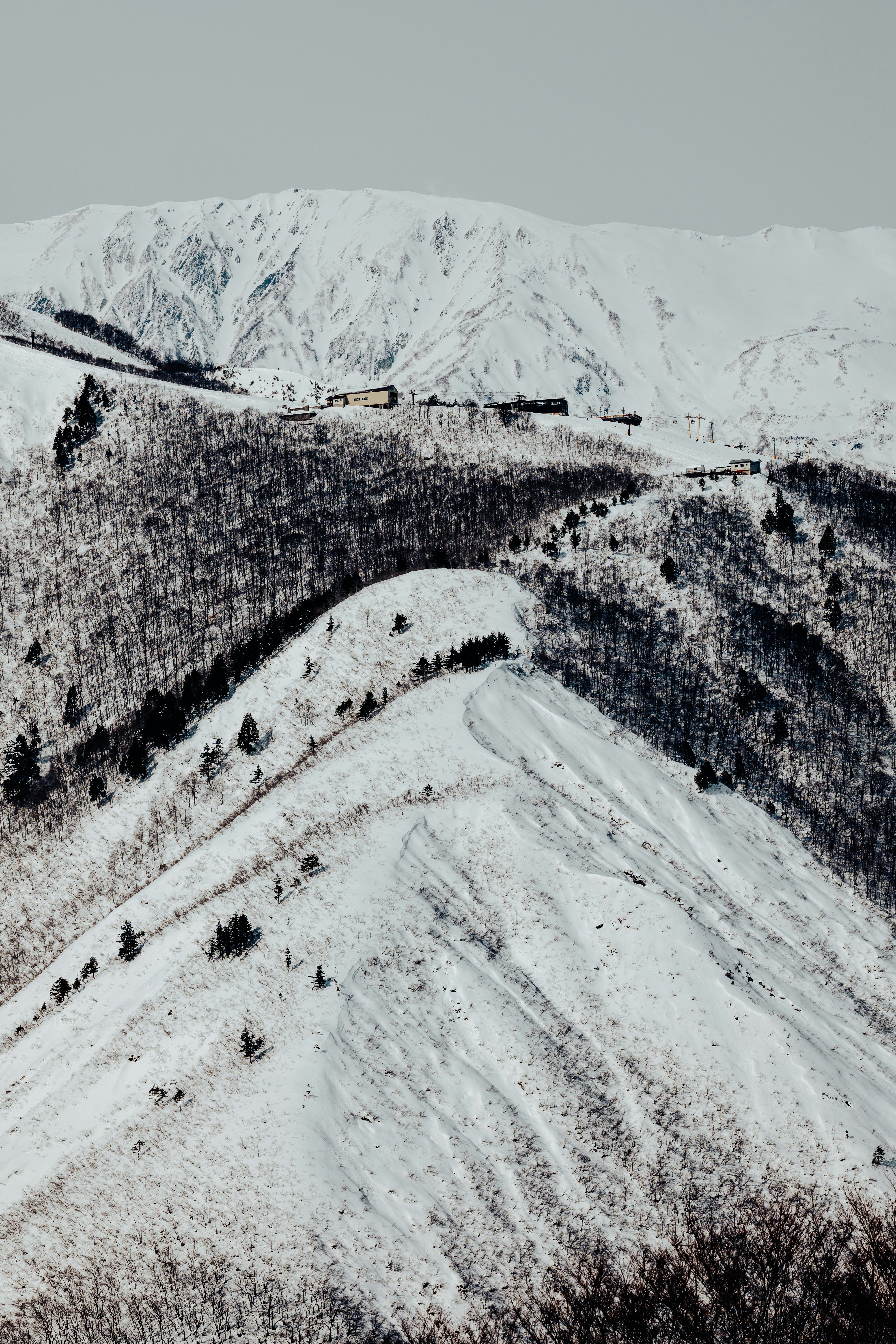 una montaña cubierta de nieve con un tren en ella
