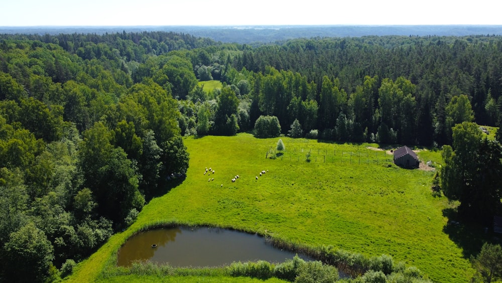 an aerial view of a lush green field surrounded by trees