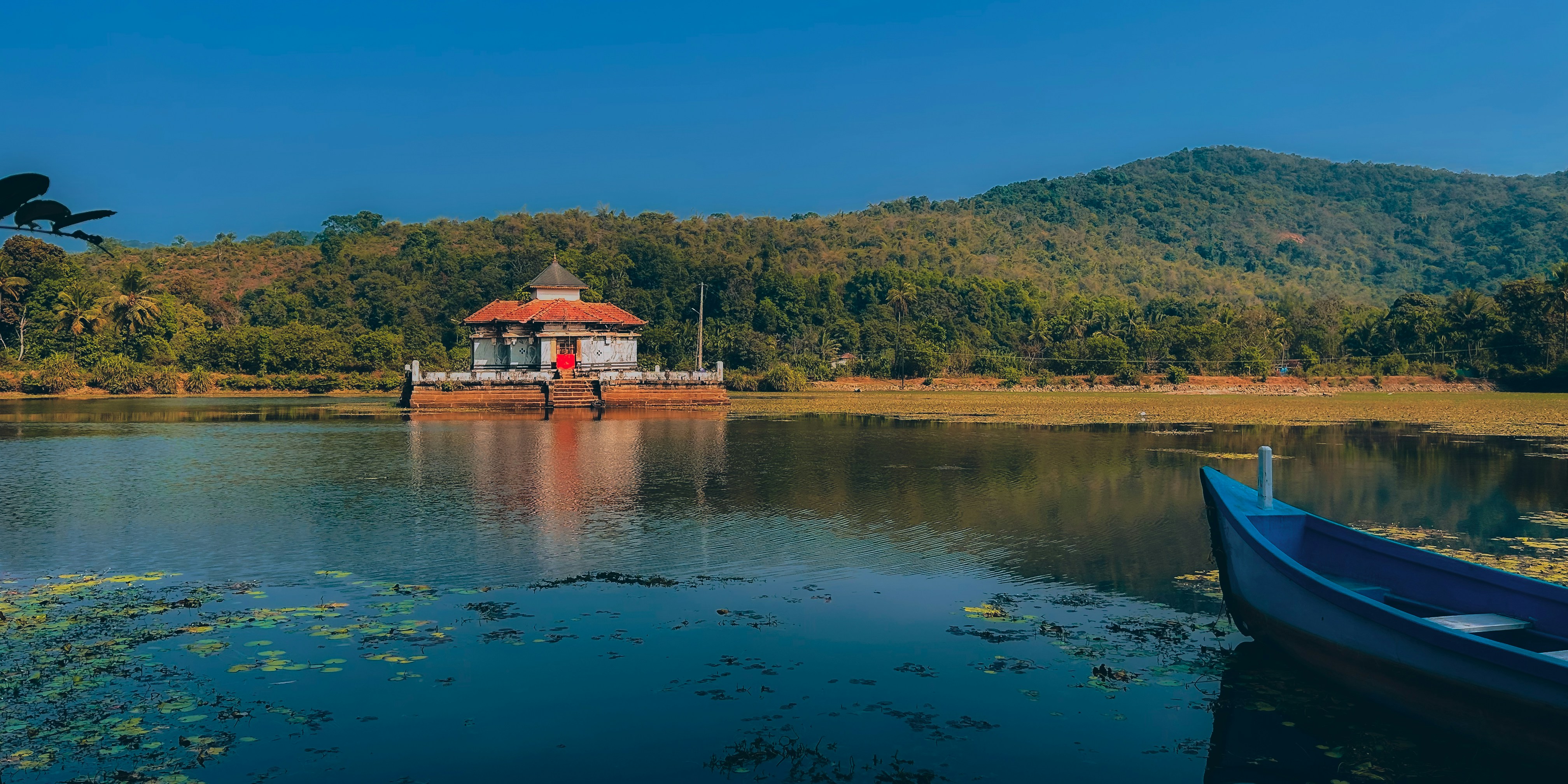 Photo by cinemascape