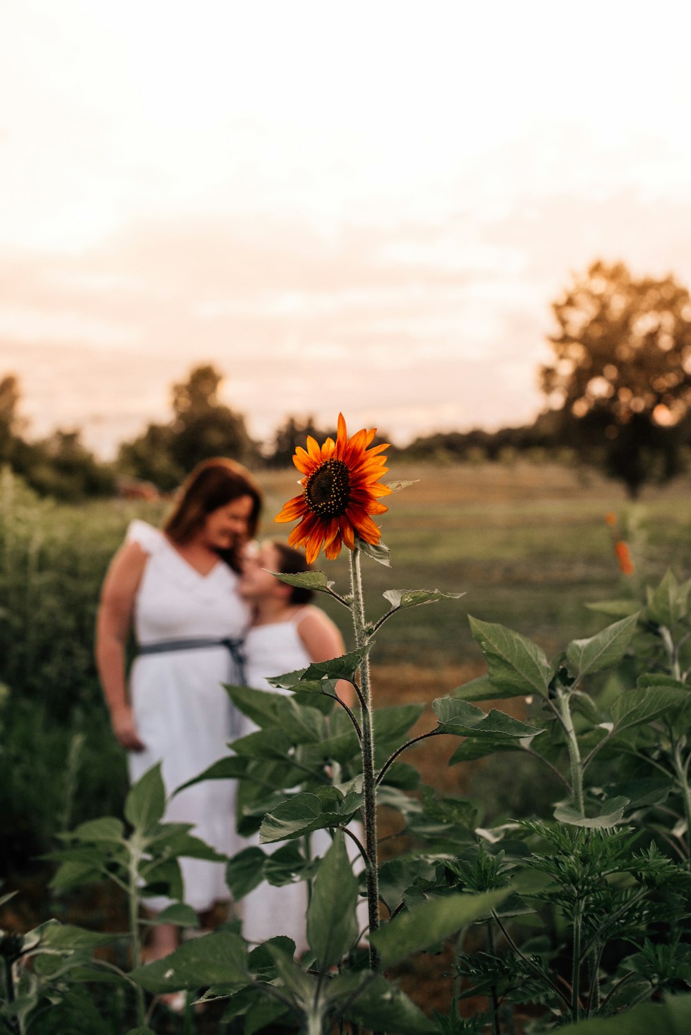 a woman standing in a field with a sunflower