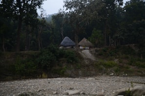 Two thatched-roof huts are nestled within a dense forest area, surrounded by tall trees. The ground is earthy and uneven, with patches of grass and a rocky path leading to the huts. The overall scene is natural and reminiscent of a rural setting.