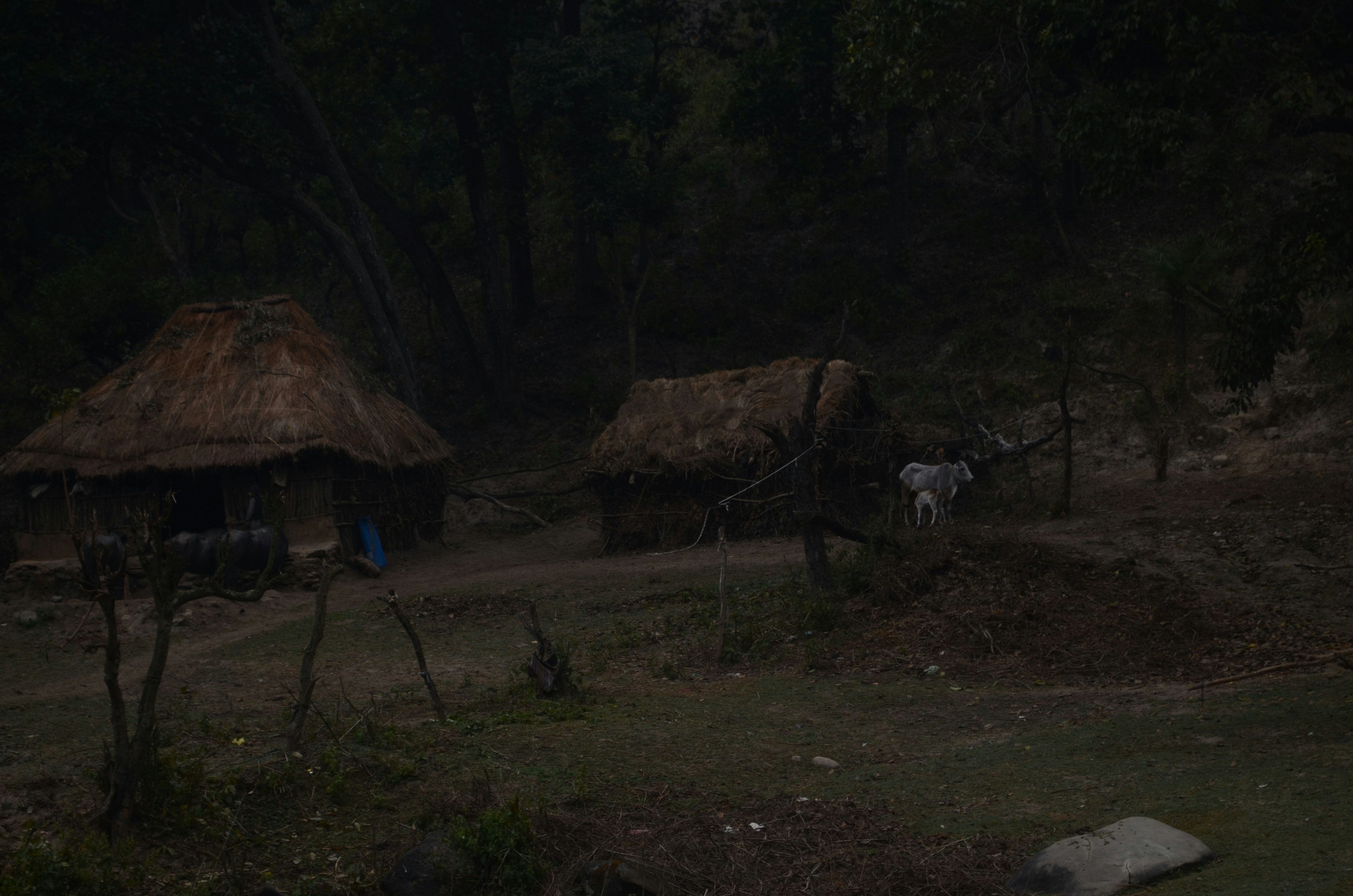 파인 촌뜨기들감독 관련 이미지1