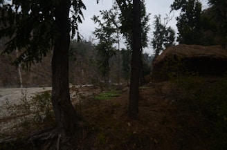 A serene African village scene with elders sharing traditional healing knowledge.