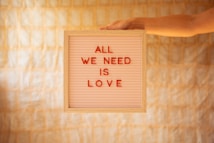 a person holding a sign that says all we need is love