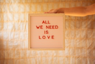 a person holding a sign that says all we need is love