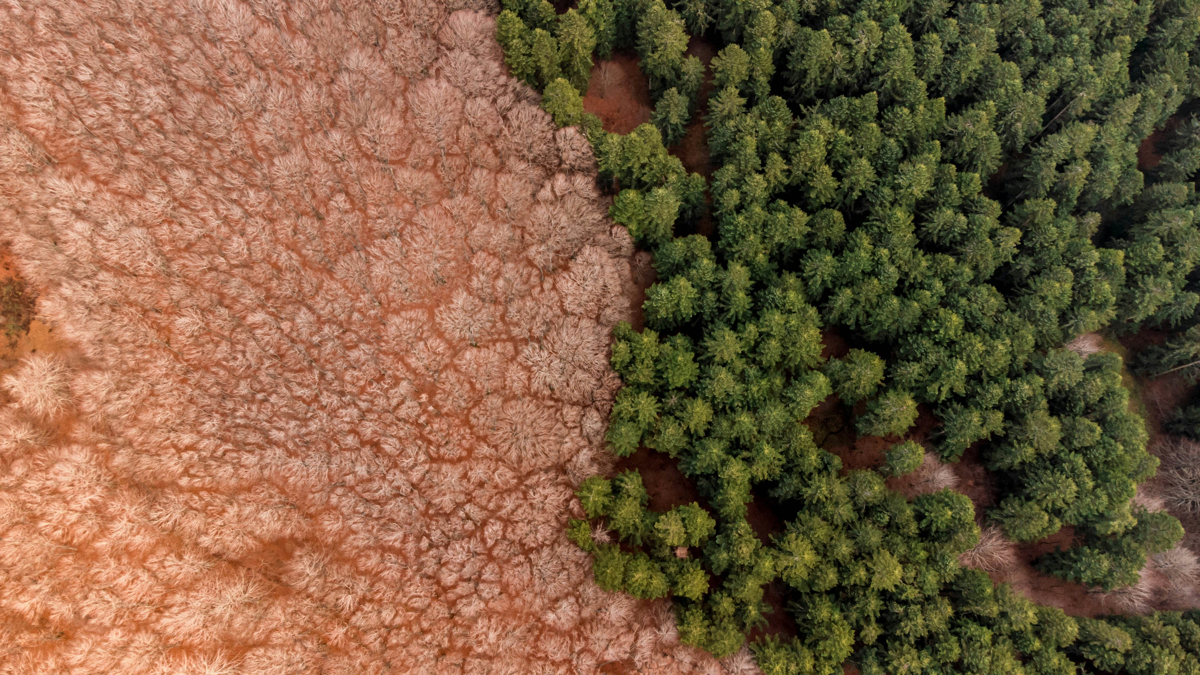 Photo by dannydrugbust