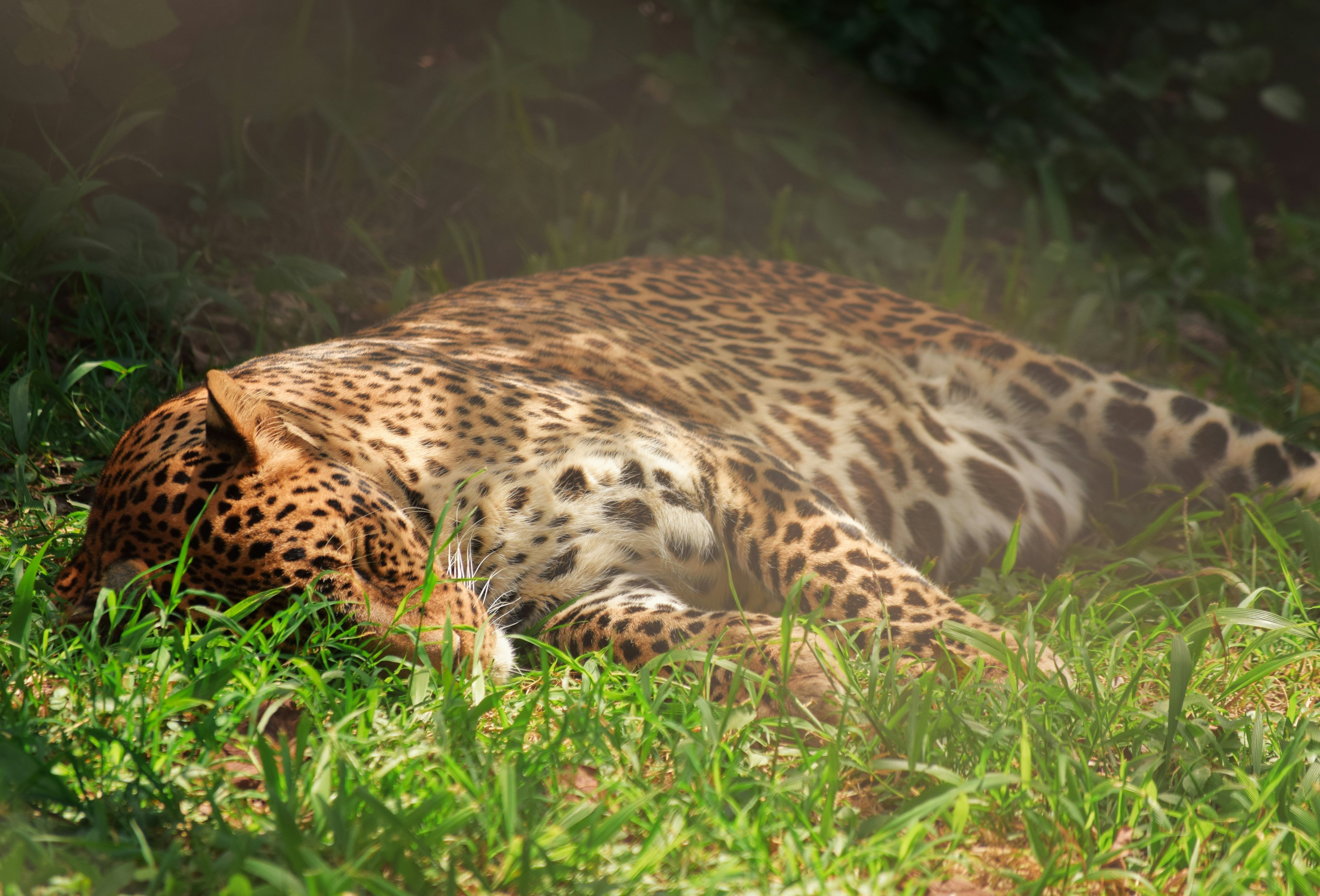 Photo by toros25burger