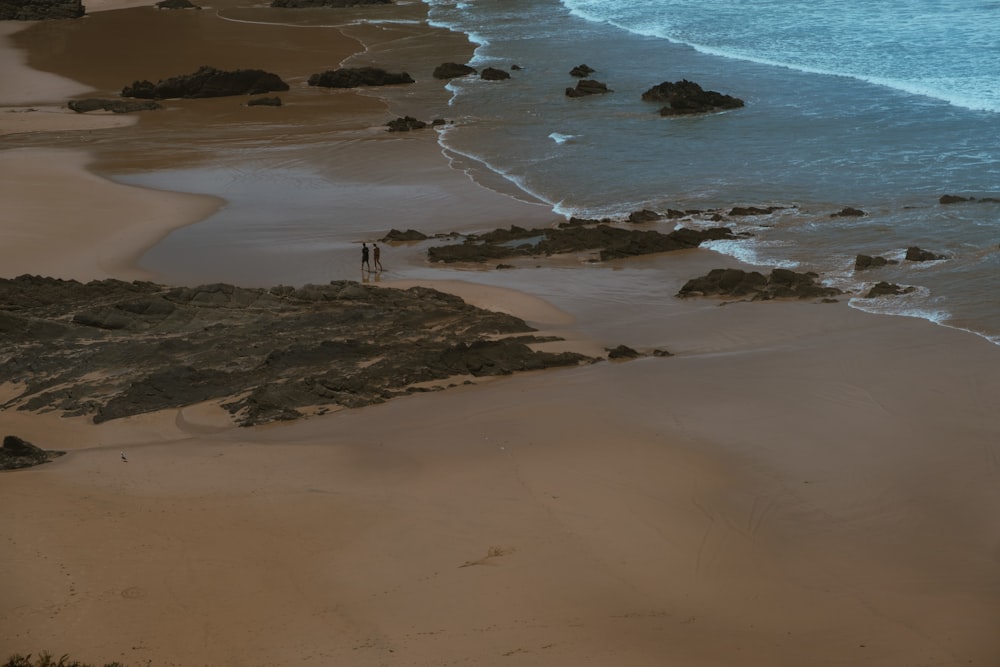 um par de pessoas em pé em cima de uma praia de areia