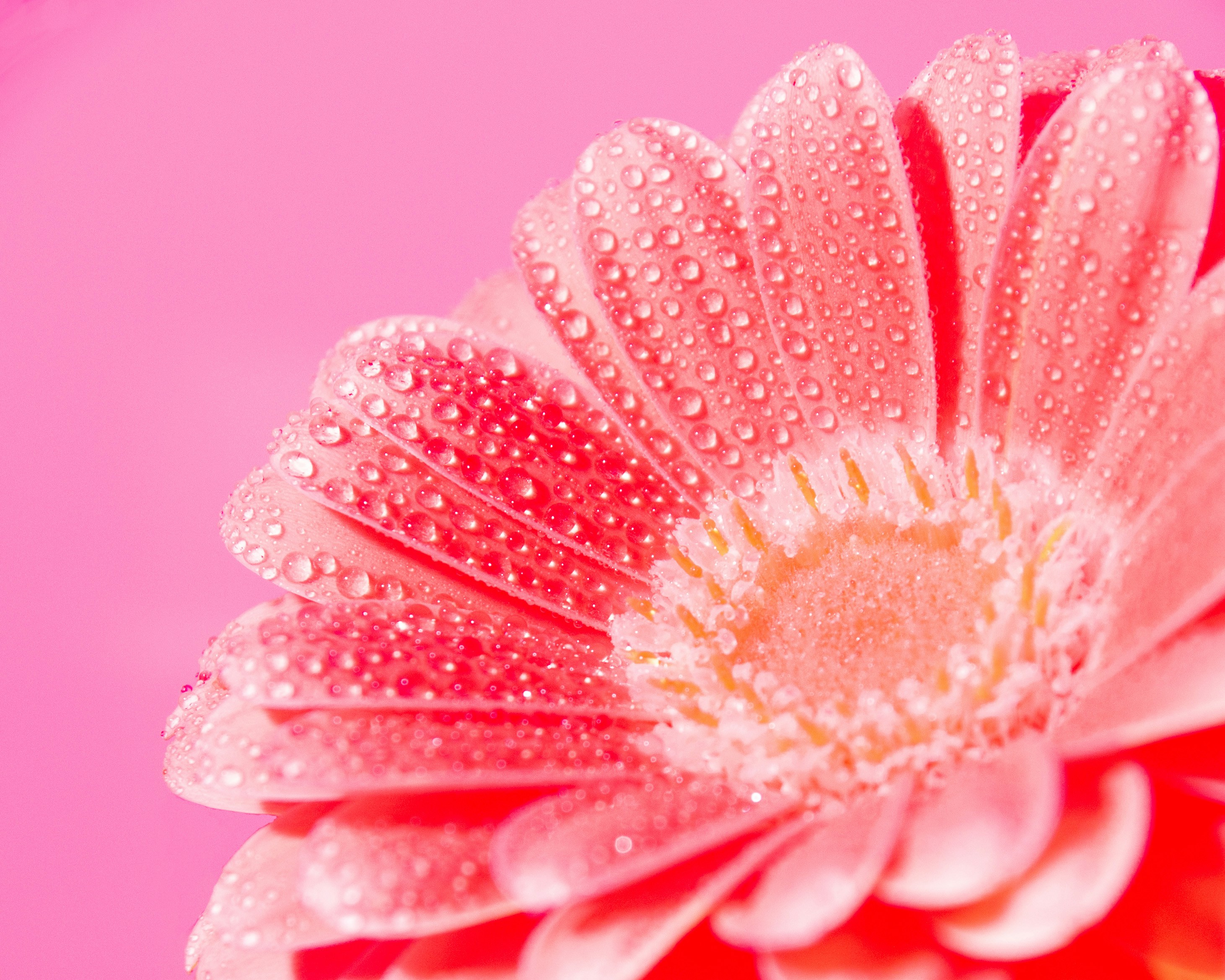 Photo by guillaume_vivien