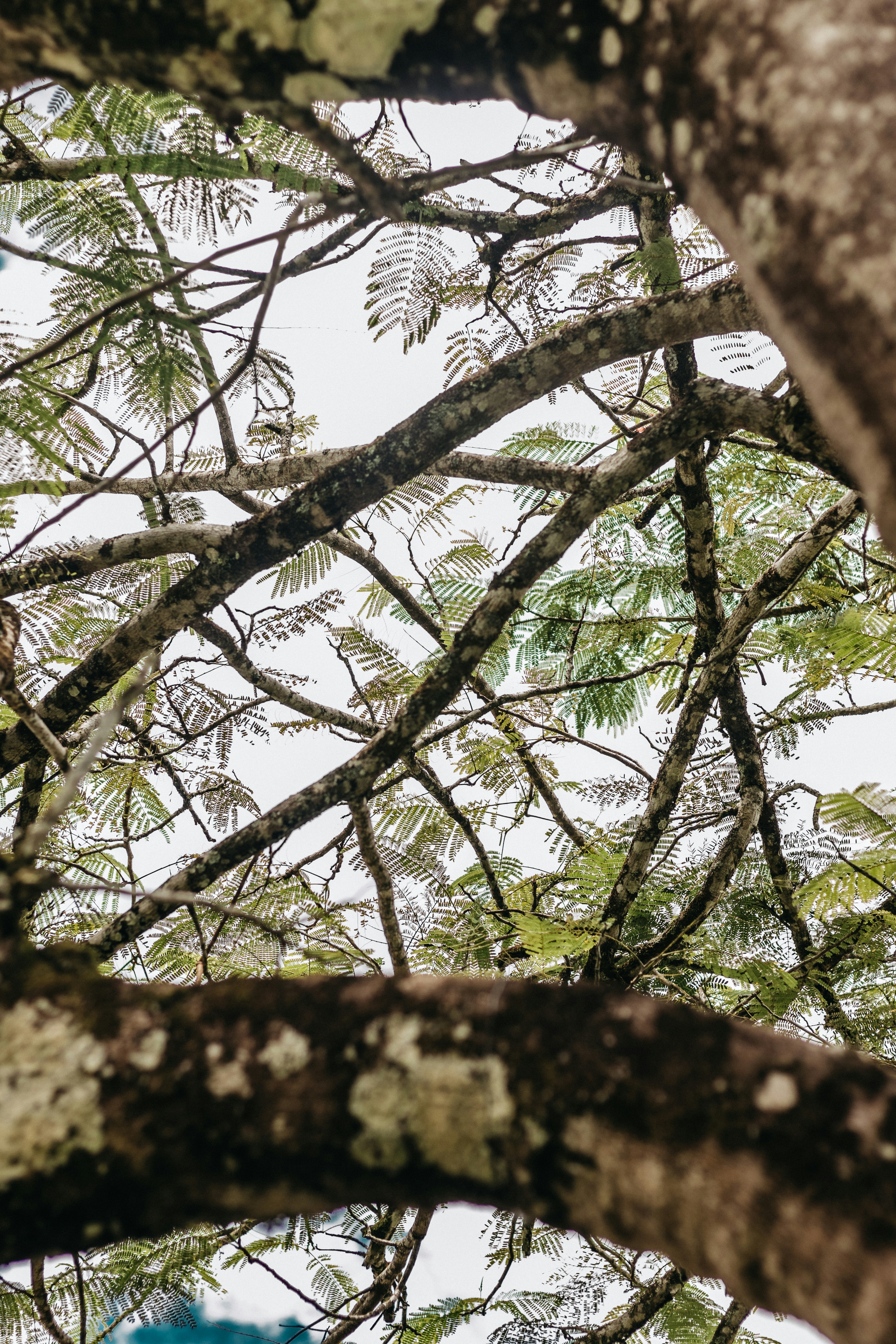 Photo by kawerodriguess