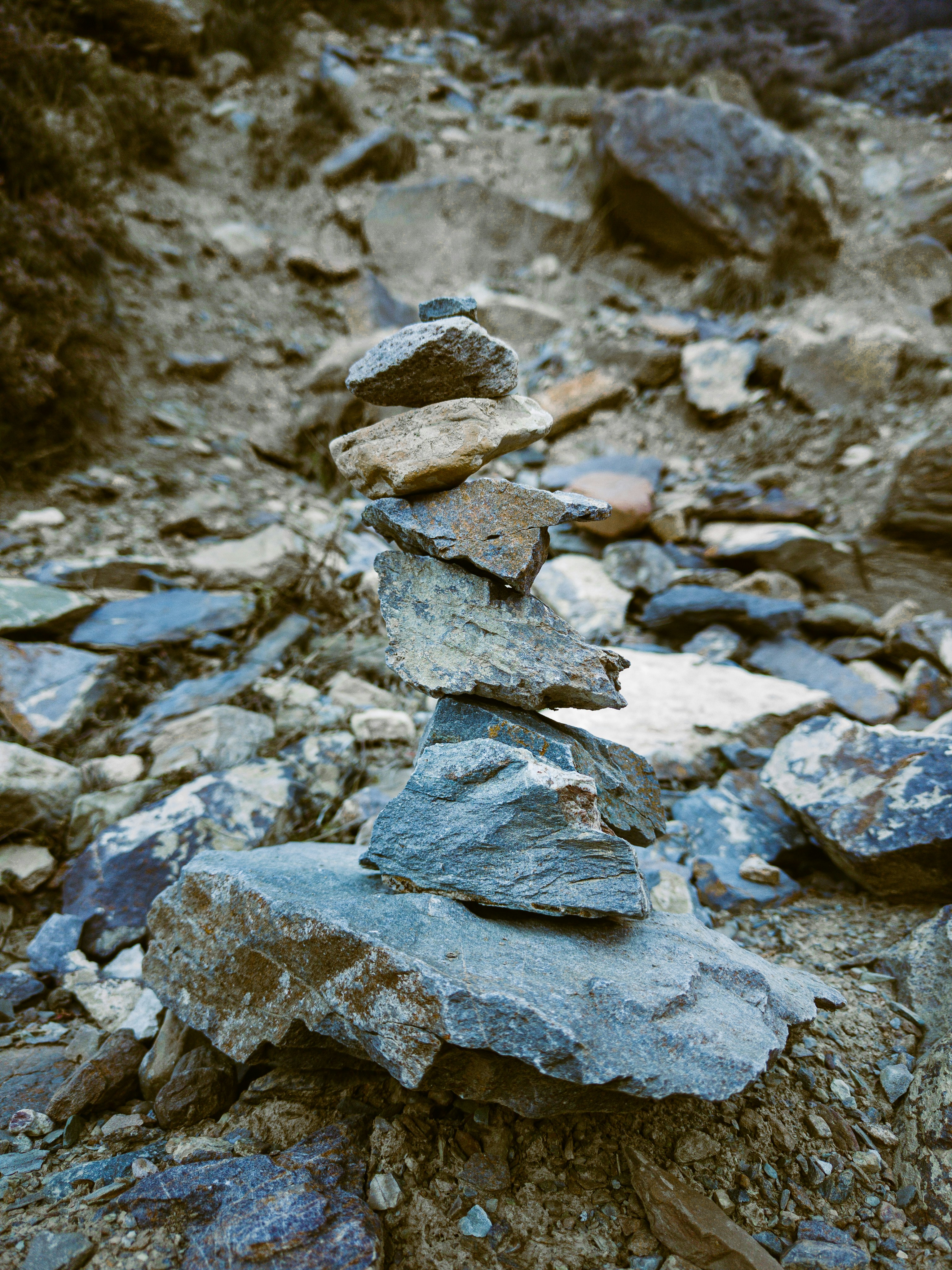 Photo by nitin_singh