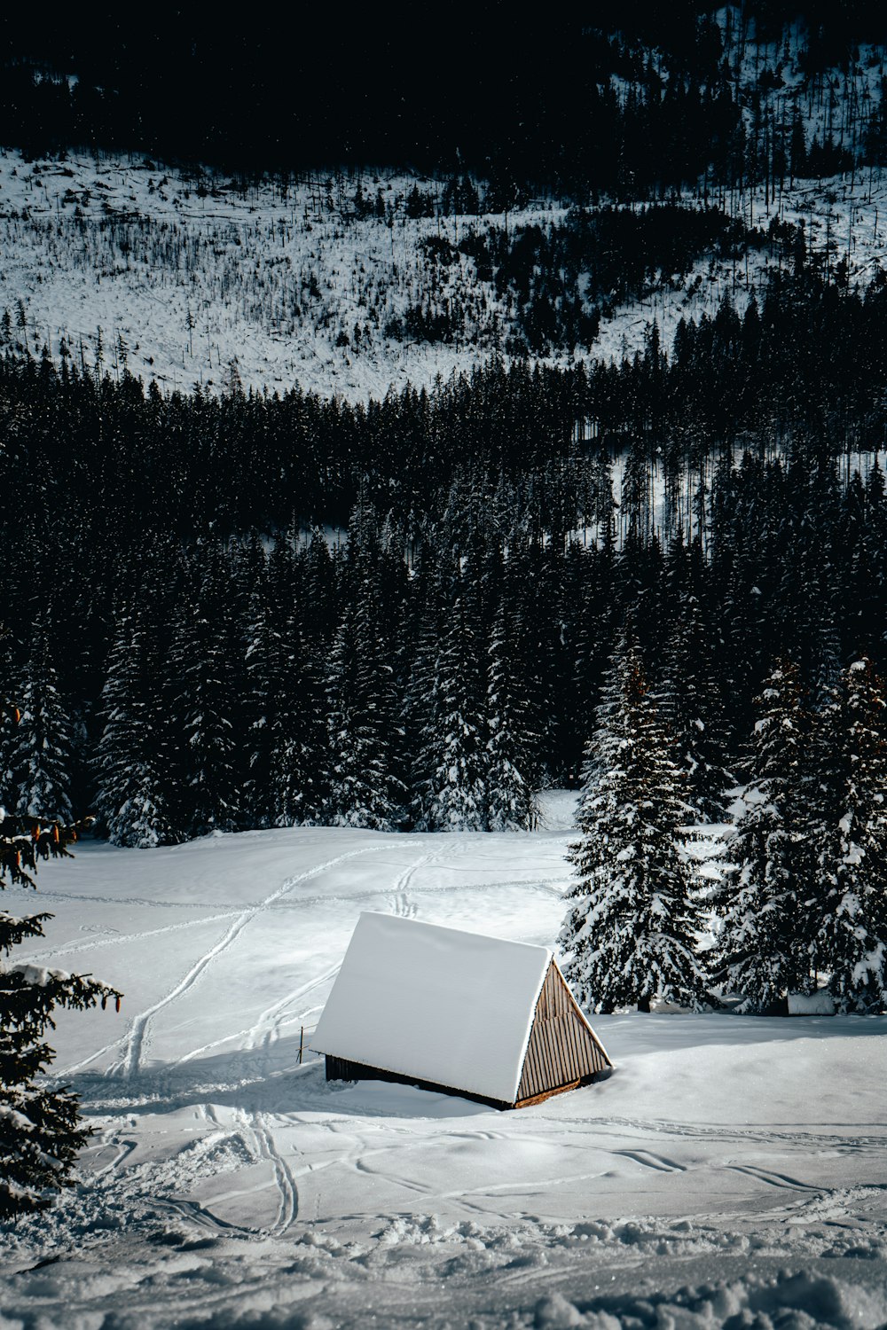 a small cabin in the middle of a snowy field