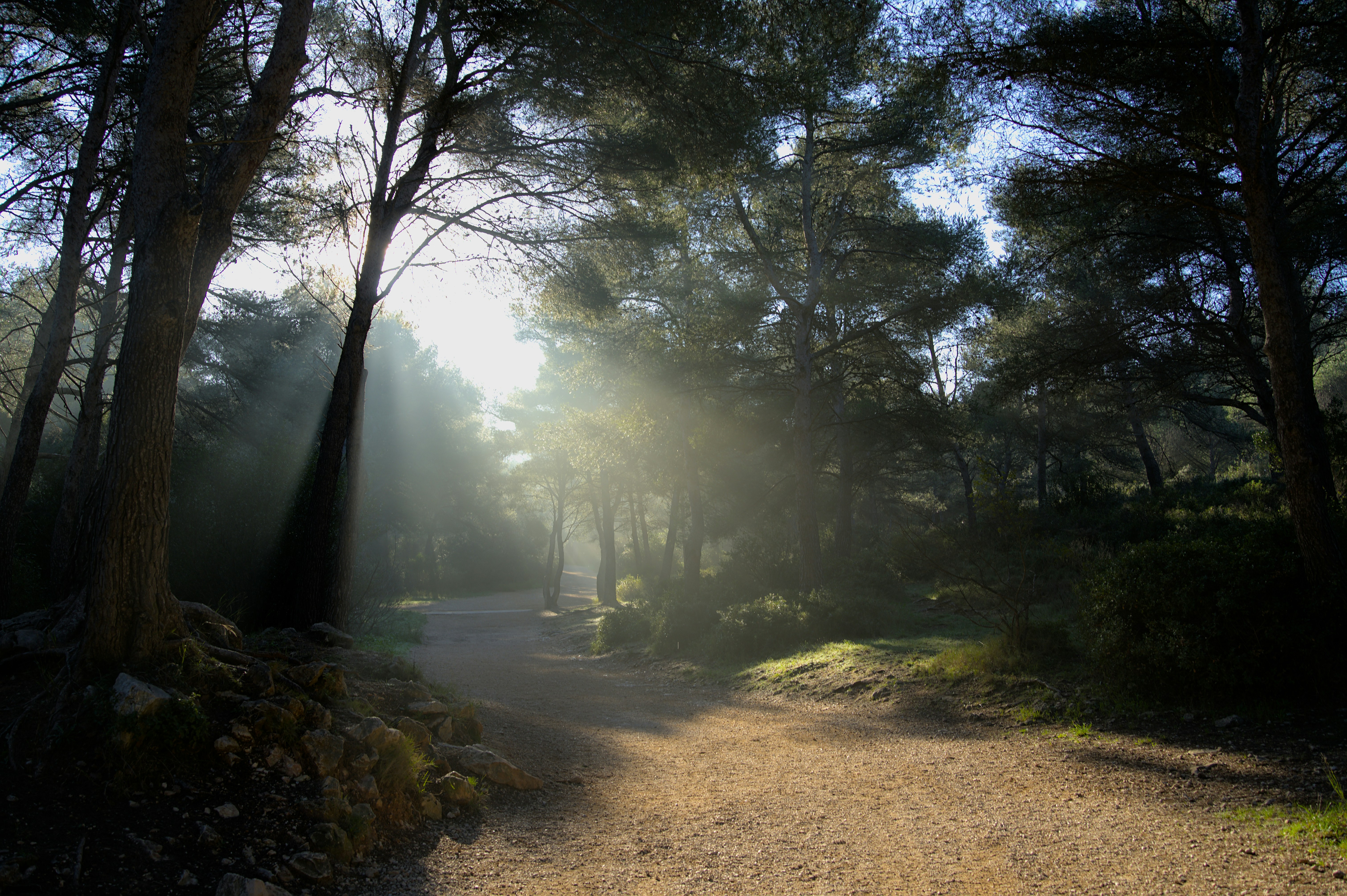 Photo by soffia_chen