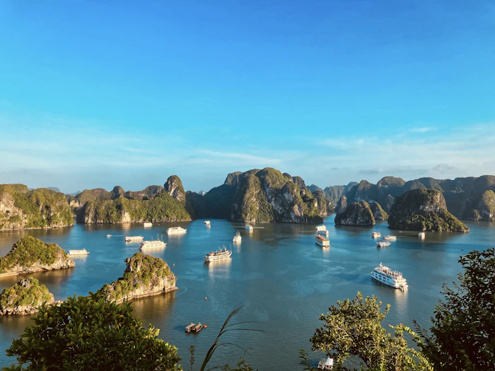 Best Wine Bars in Ha Long Bay for an Unhurried Evening Glass