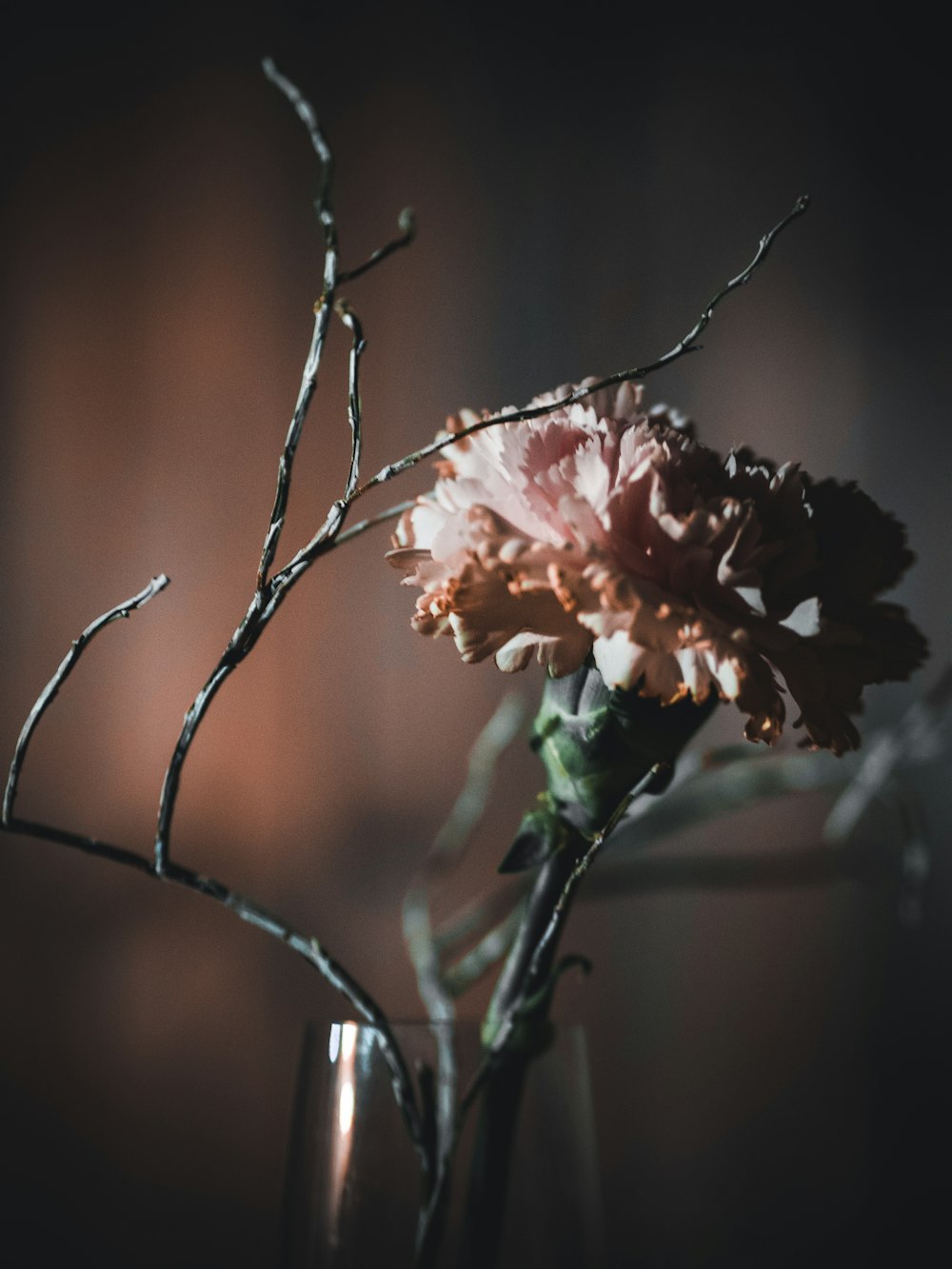 a close up of a flower in a vase