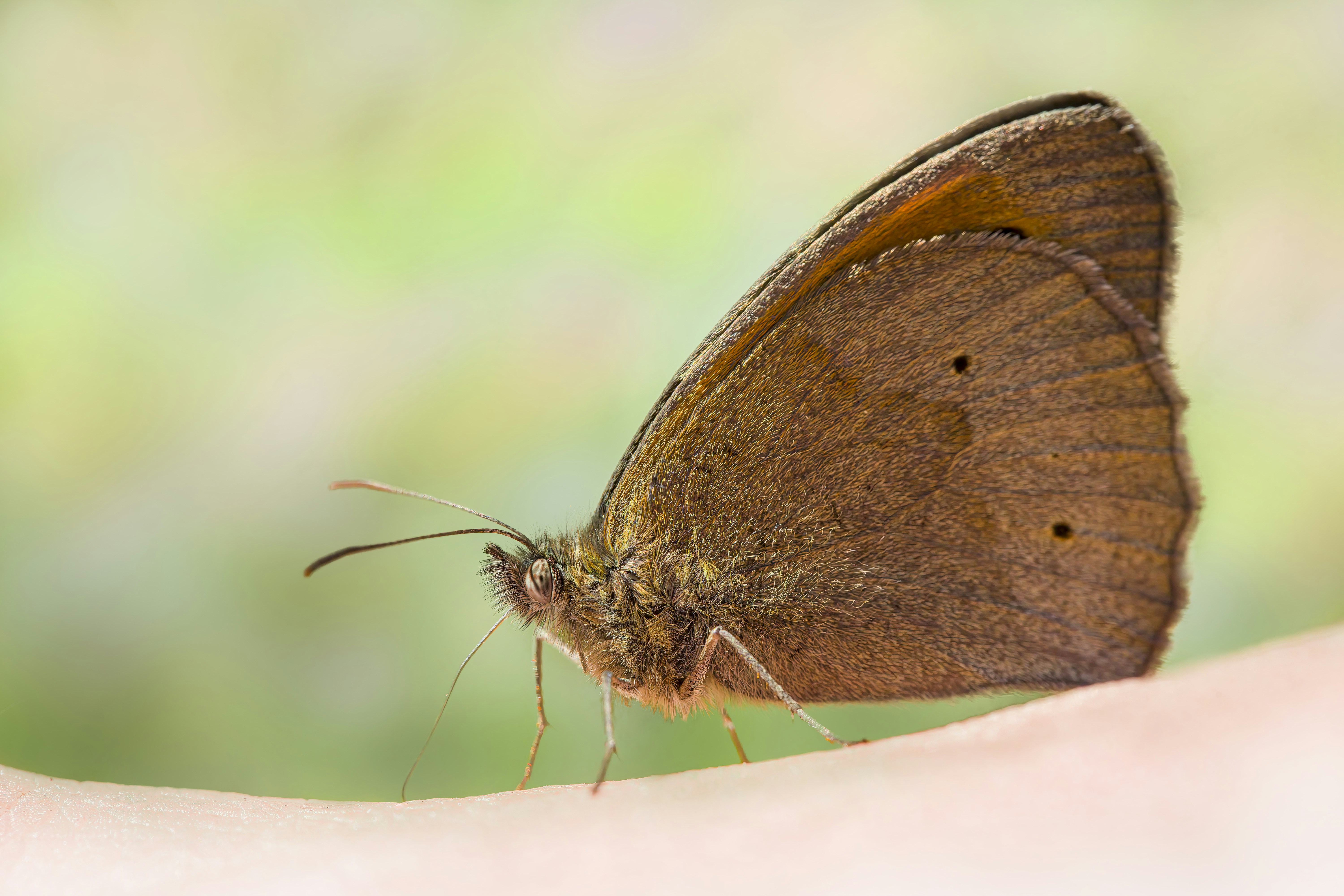 Photo by erik_karits