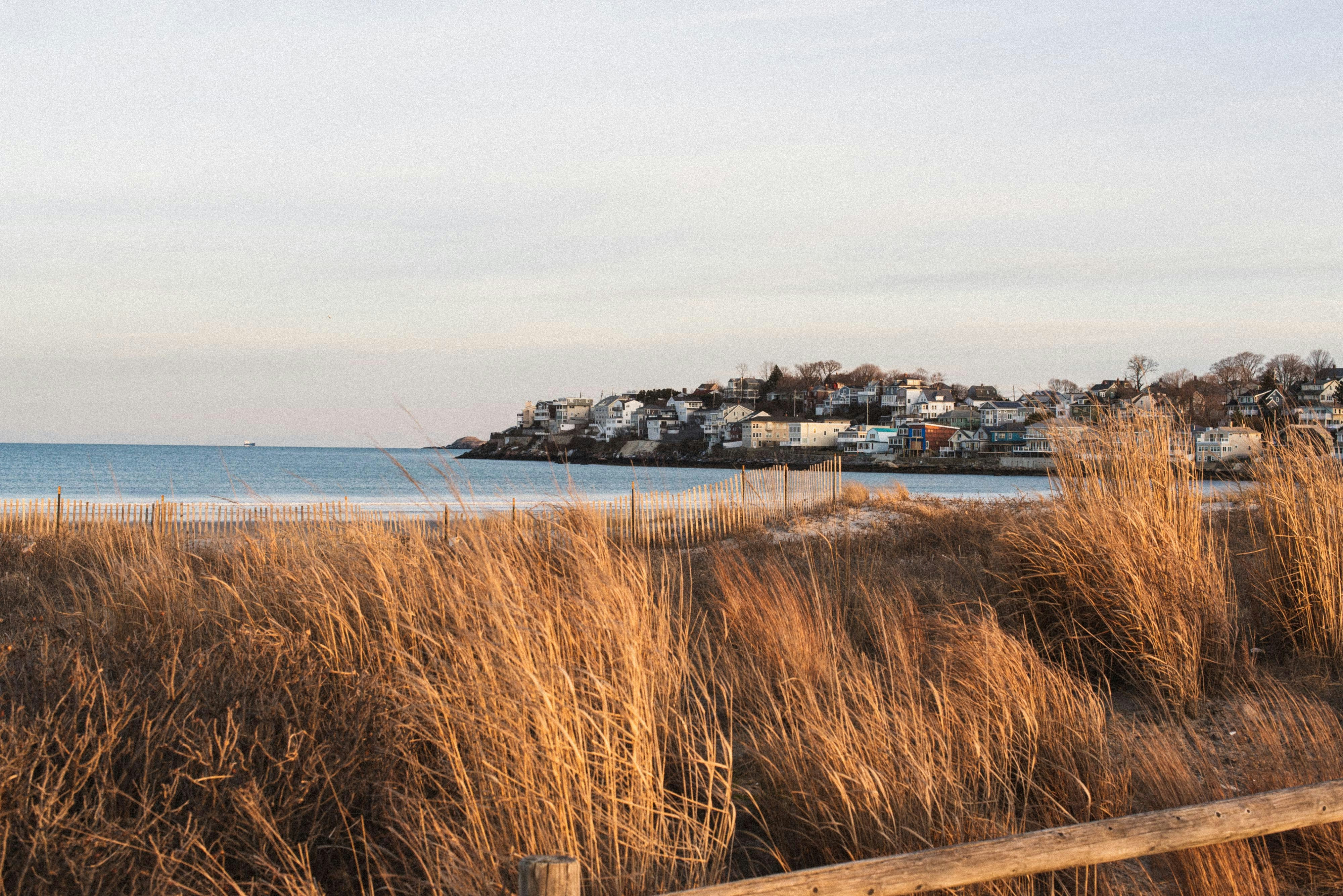 a view of a beach with houses in the distance